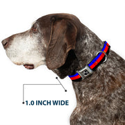 Dog Bone Seatbelt Buckle Collar - Flag Polyamorous Pi Symbol Blue/Red/Black/Yellow