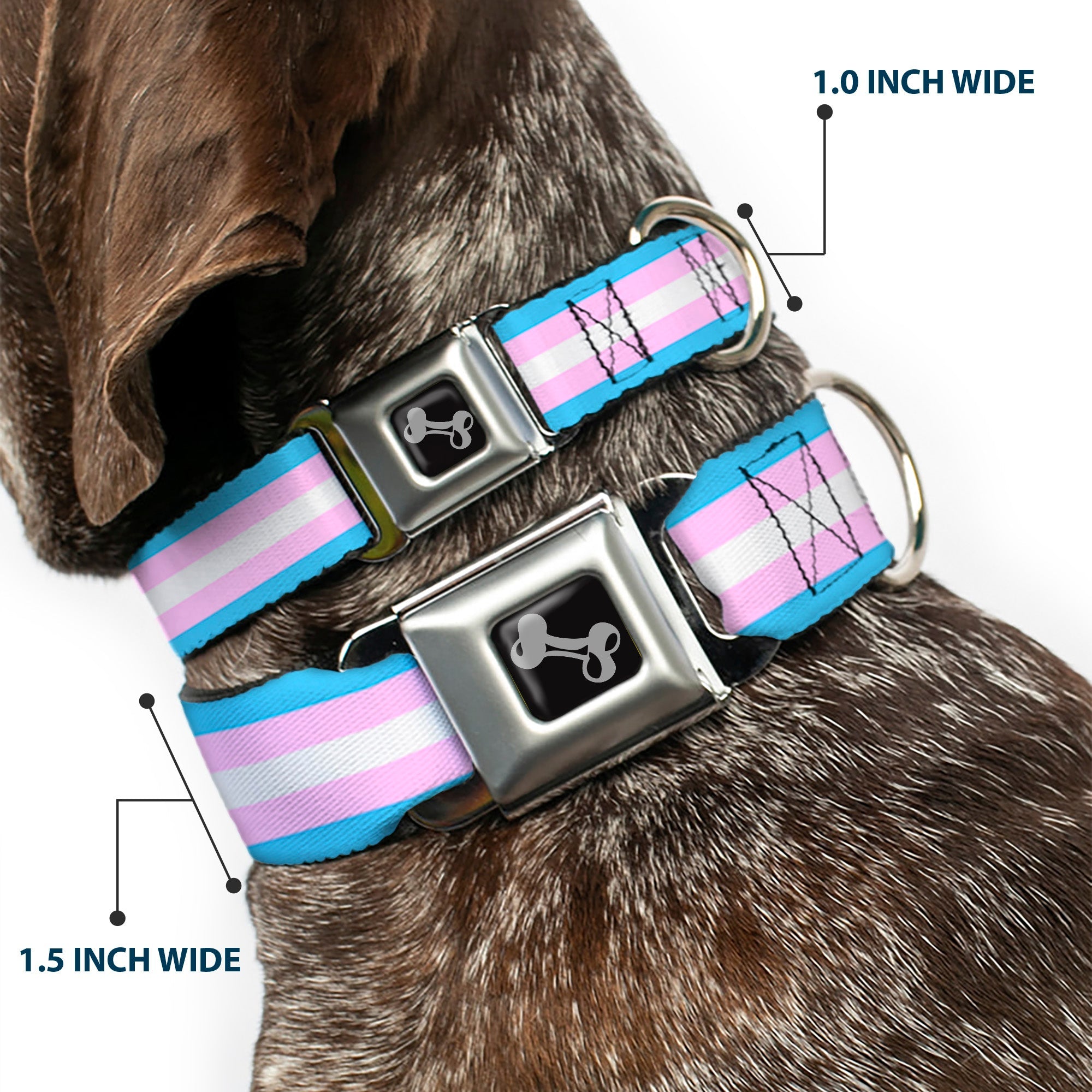 Dog Bone Seatbelt Buckle Collar - Flag Transgender Baby Blue/Baby Pink/White