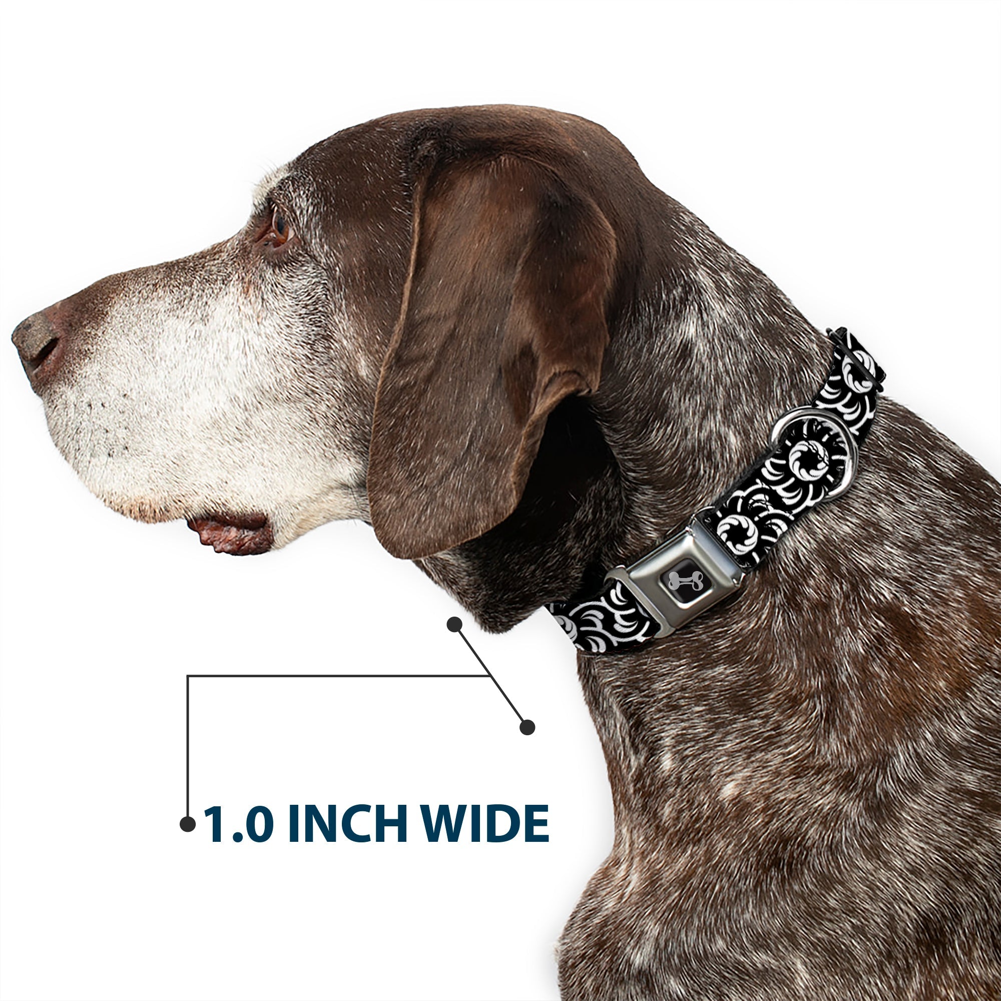 Dog Bone Seatbelt Buckle Collar - Floral Pinwheel Black/White