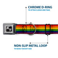 Load image into Gallery viewer, Dog Bone Seatbelt Buckle Collar - Flag Pride Distressed Rainbow
