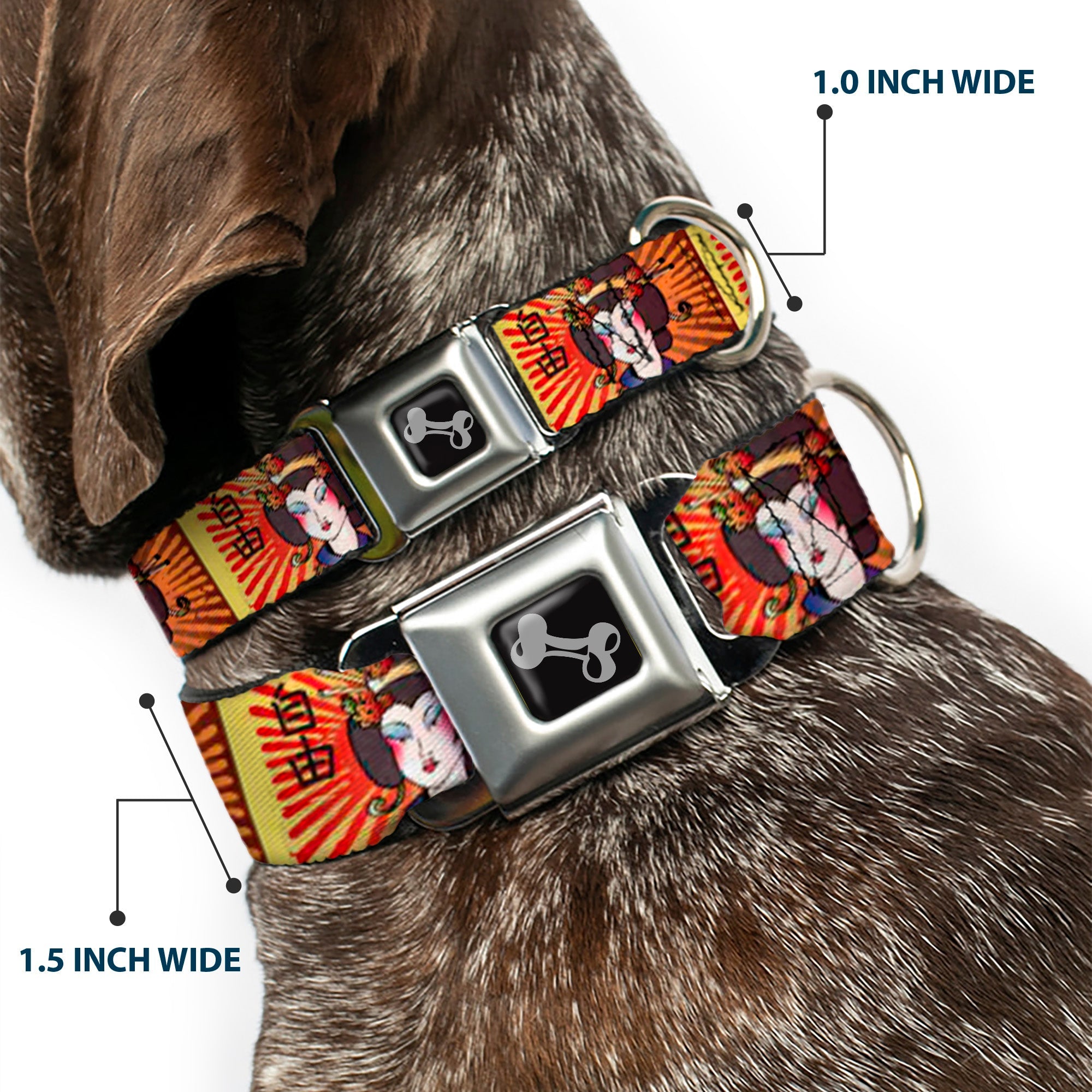 Dog Bone Seatbelt Buckle Collar - Geisha Distressed Repeat