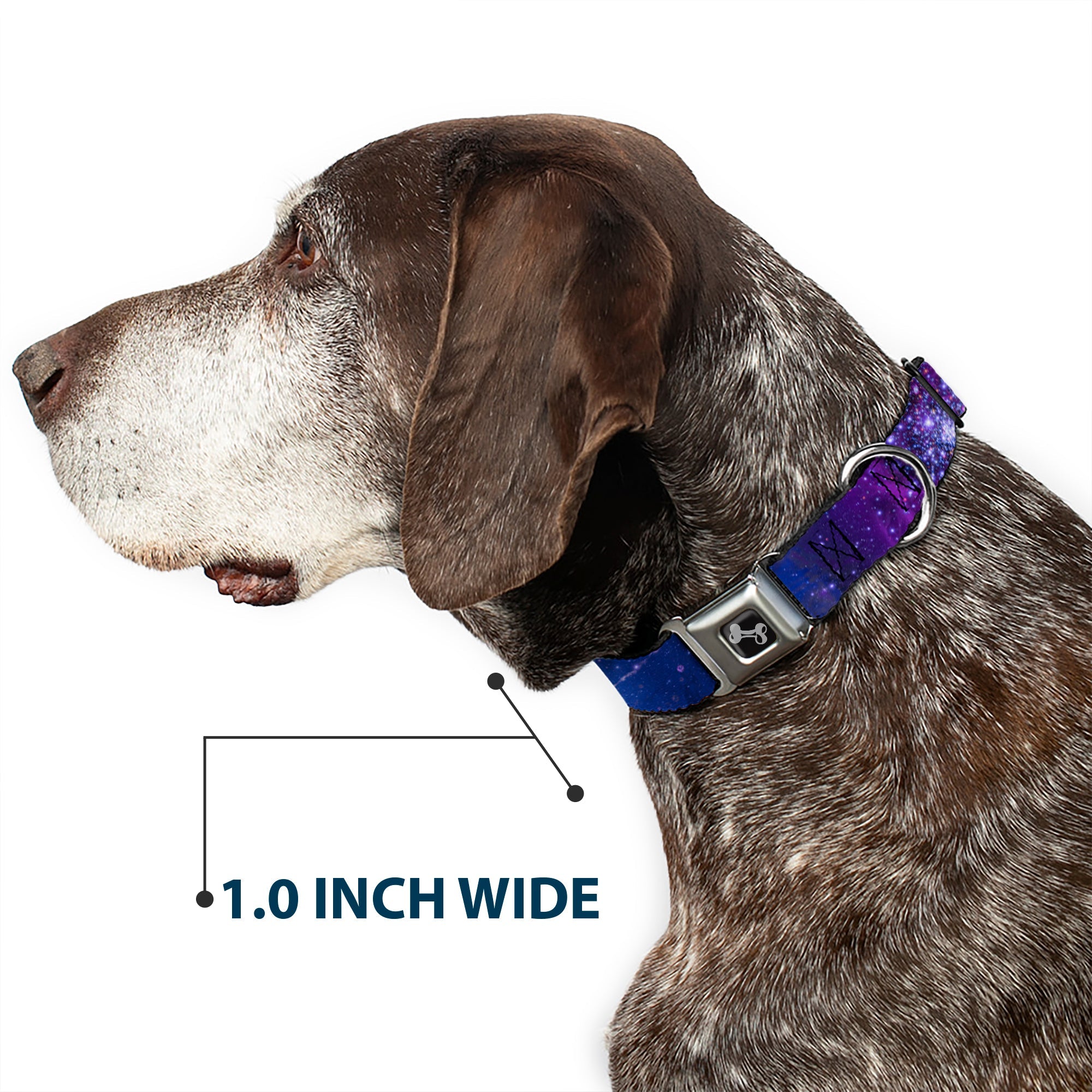 Dog Bone Seatbelt Buckle Collar - Galaxy Blues/Purples