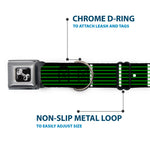 Dog Bone Seatbelt Buckle Collar - Guitar Neck Black/White/Lime Green