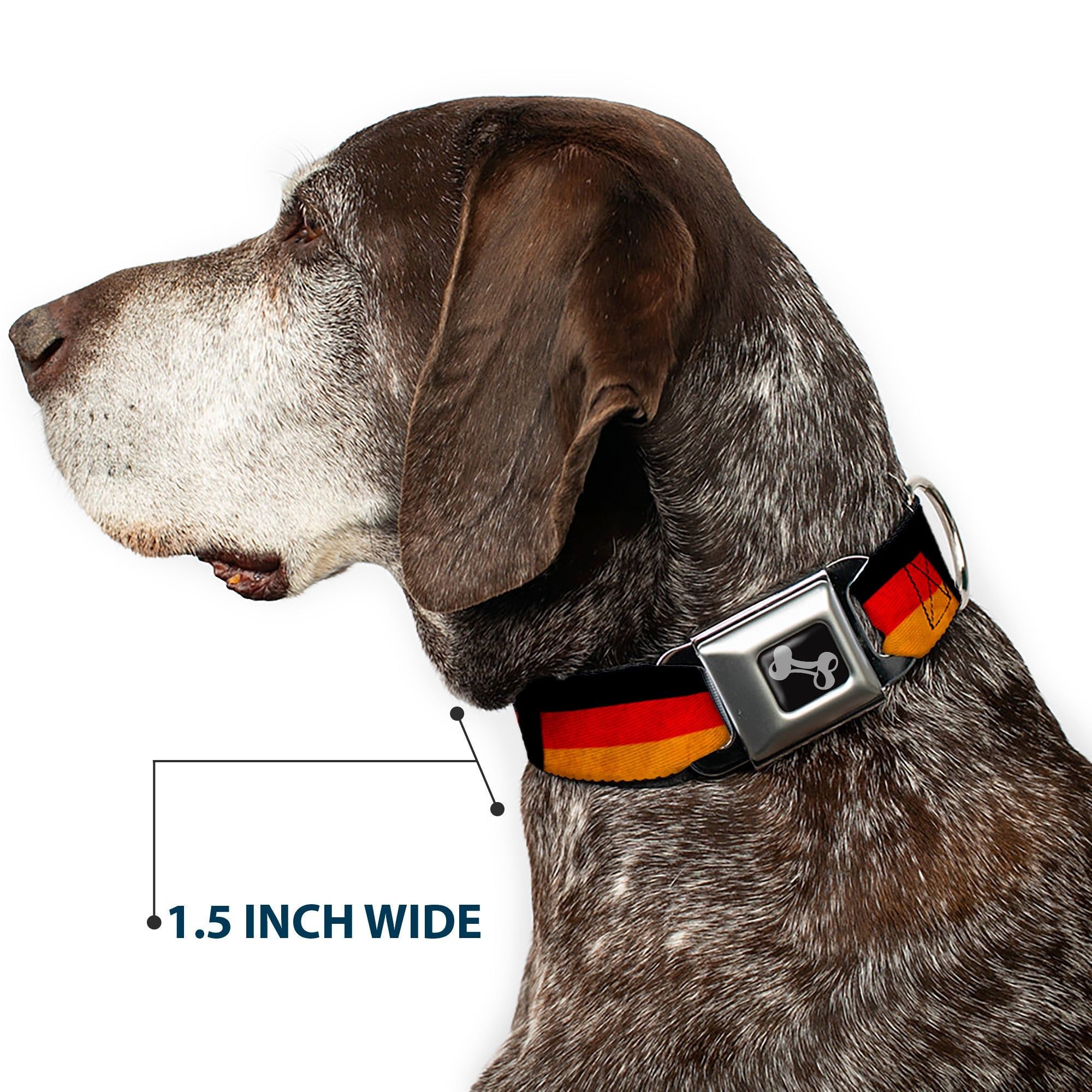 Dog Bone Seatbelt Buckle Collar - German Flag Distressed