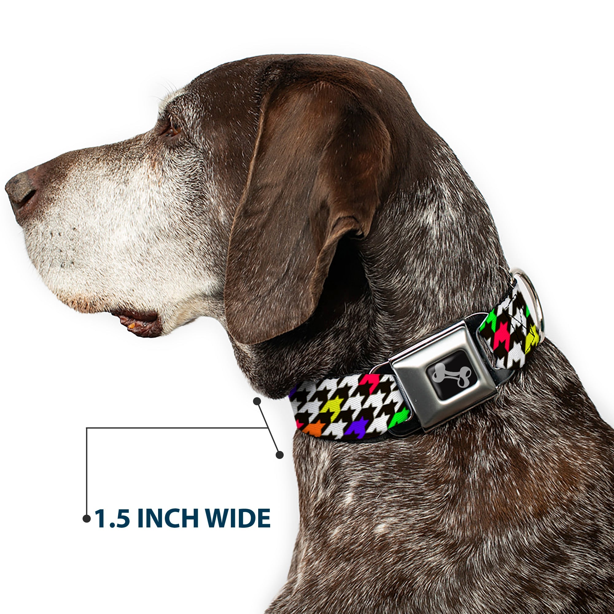 Dog Bone Seatbelt Buckle Collar - Houndstooth Black/White/Multi Neon