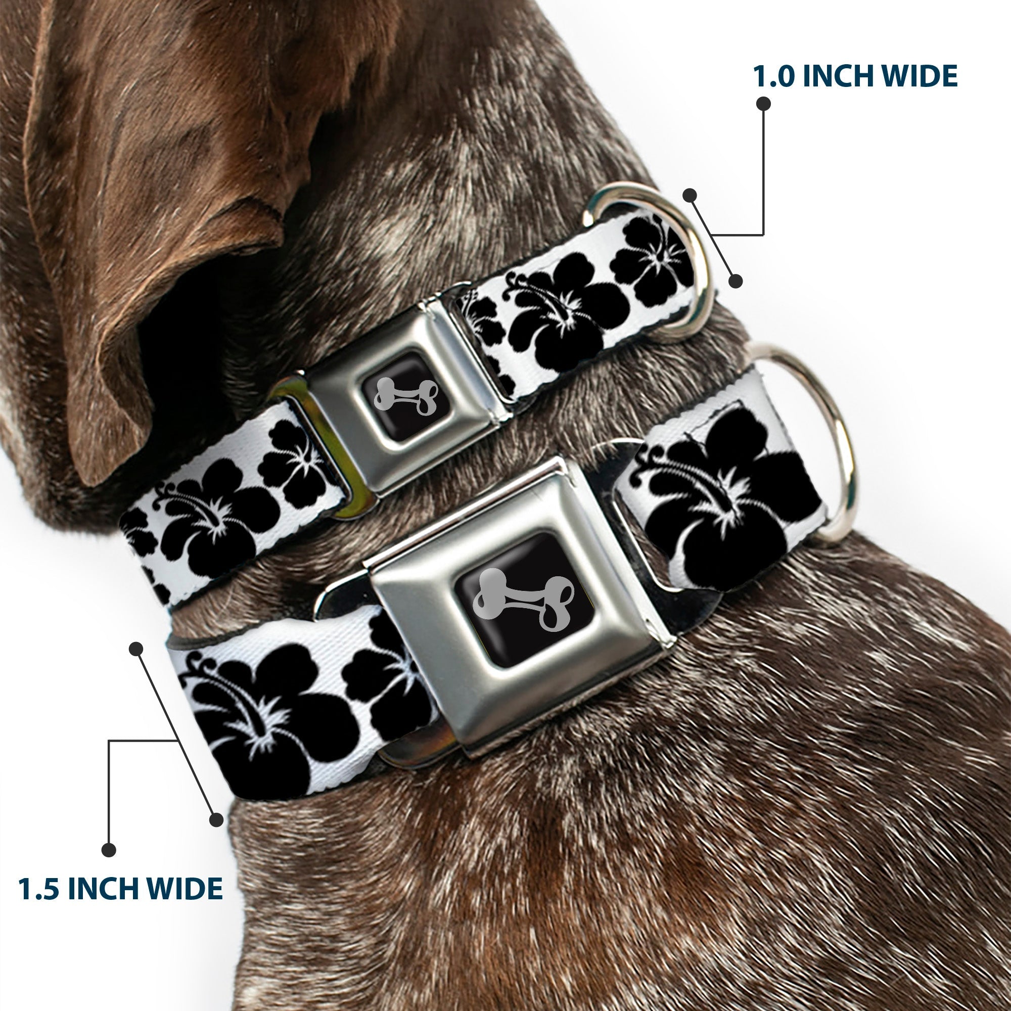 Dog Bone Seatbelt Buckle Collar - Hibiscus White/Black