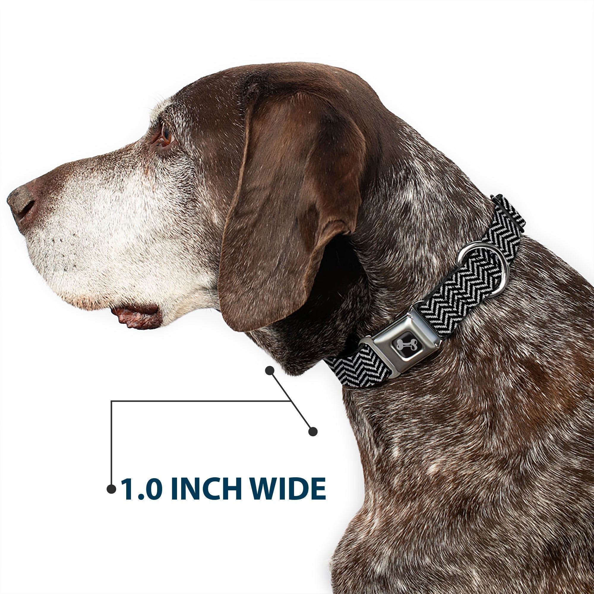 Dog Bone Seatbelt Buckle Collar - Herringbone Jagged Black/White