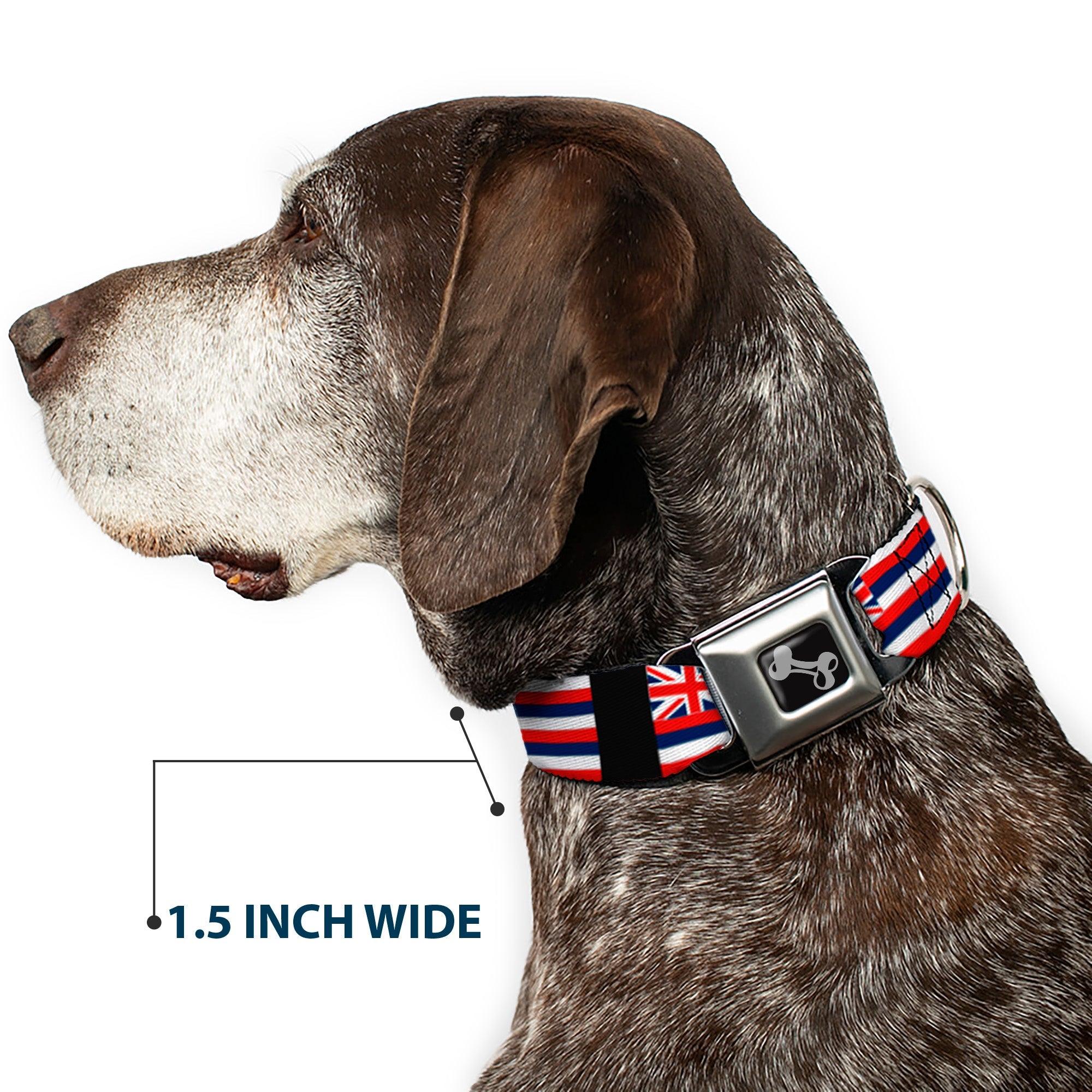 Dog Bone Seatbelt Buckle Collar - Hawaii Flags