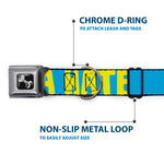 Dog Bone Seatbelt Buckle Collar - HATERS GONNA HATE Turquoise/Yellow