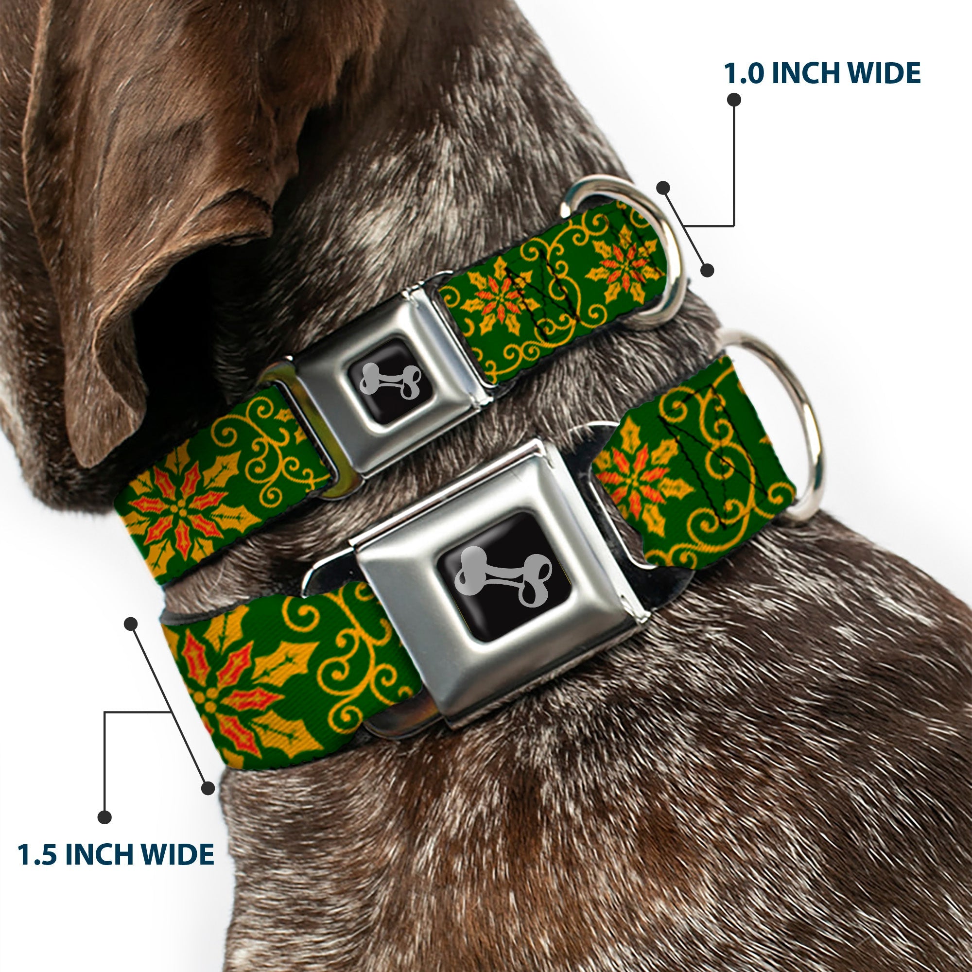 Dog Bone Seatbelt Buckle Collar - Holiday Holly Green/Gold/Red