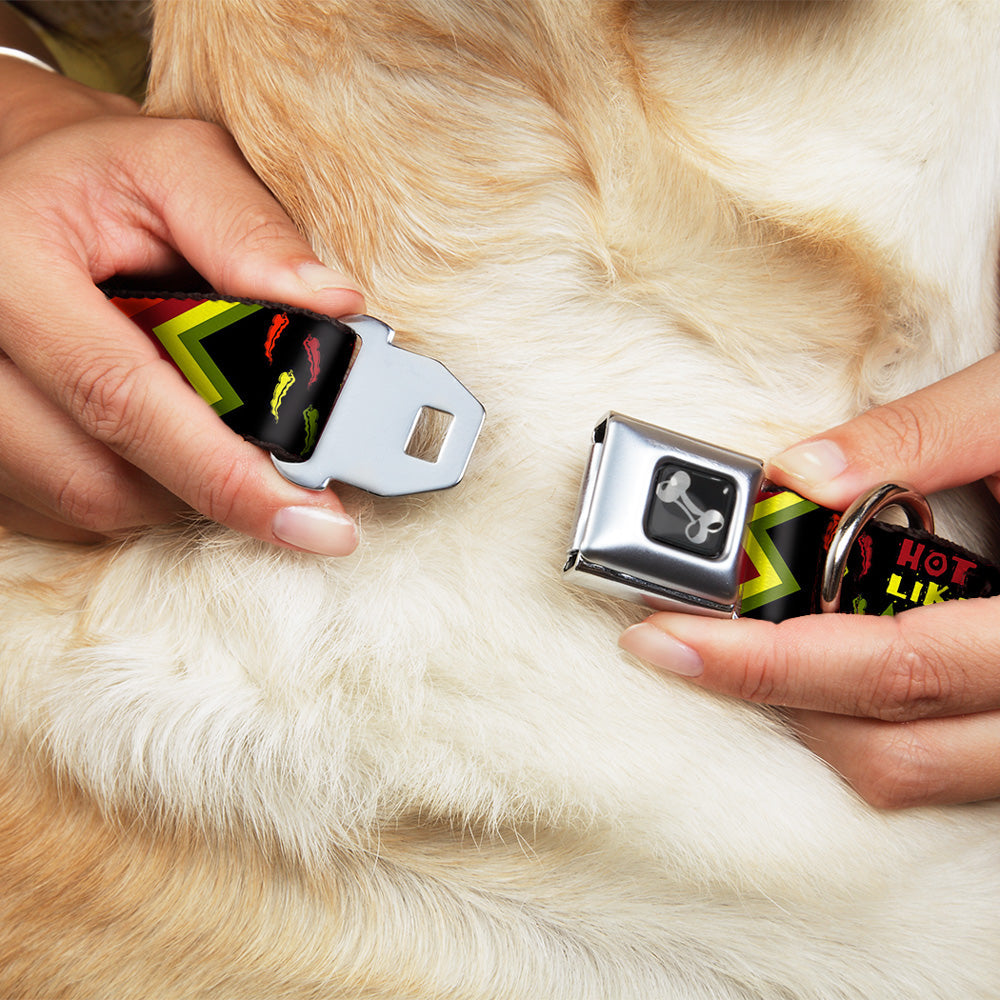 Dog Bone Seatbelt Buckle Collar - Hot Like A Pepper