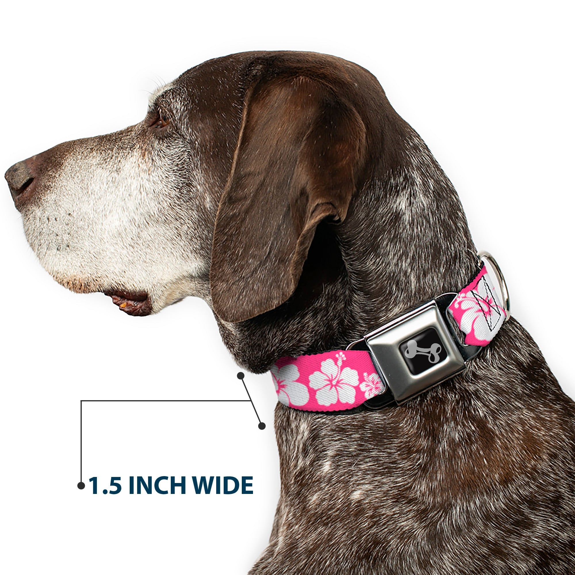 Dog Bone Seatbelt Buckle Collar - Hibiscus Neon Pink/White