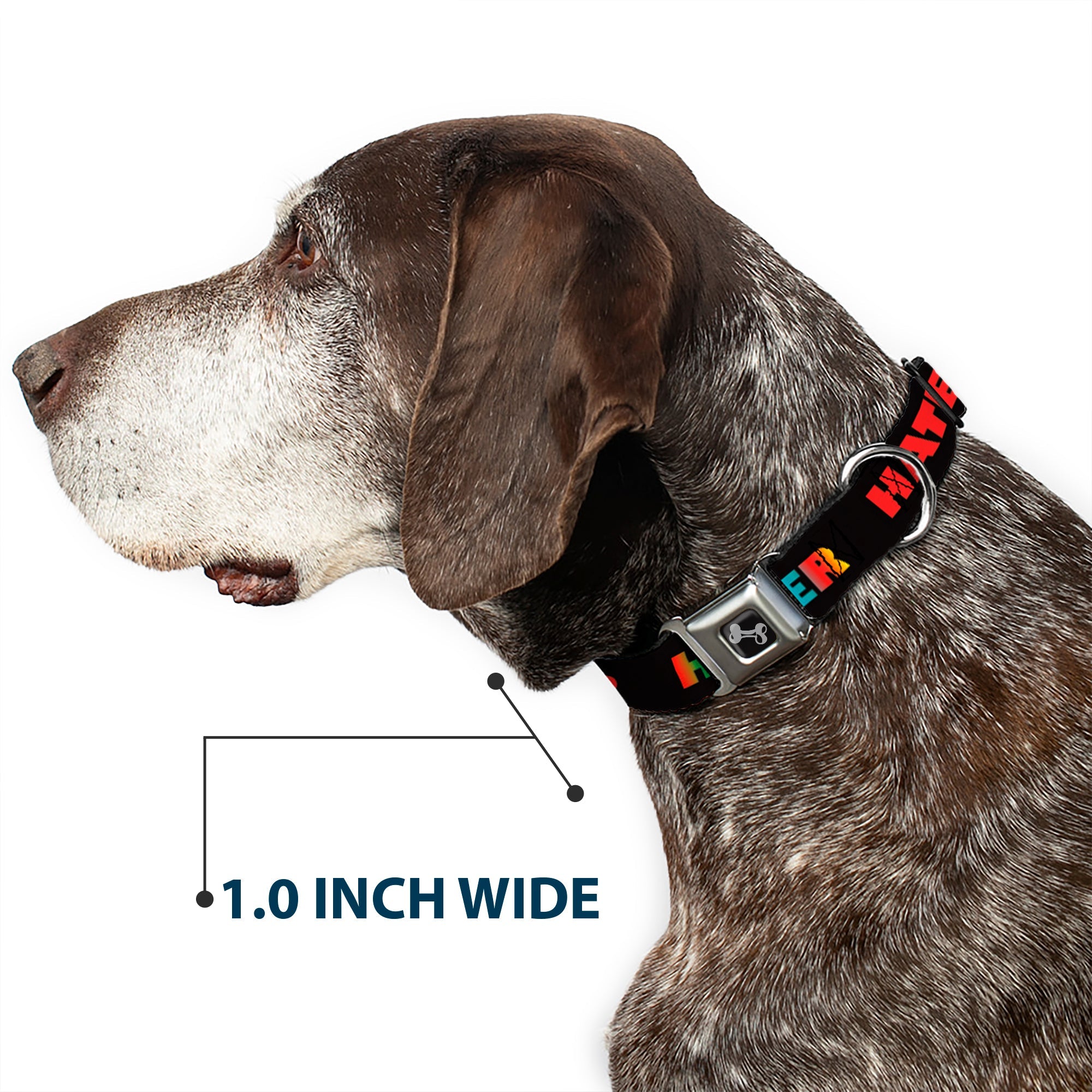 Dog Bone Seatbelt Buckle Collar - HATER Black/Red/Rainbow Fade