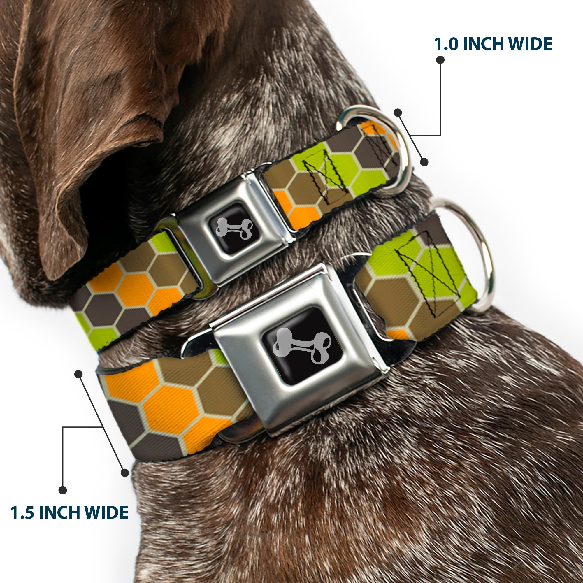 Dog Bone Seatbelt Buckle Collar - Honeycomb Greens/Orange