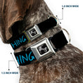 Load image into Gallery viewer, Dog Bone Seatbelt Buckle Collar - HIPSTERS RUIN EVERYTHING Black/Blue
