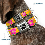 Dog Bone Seatbelt Buckle Collar - Hibiscus w/Stripes Gold/Multi Pastel