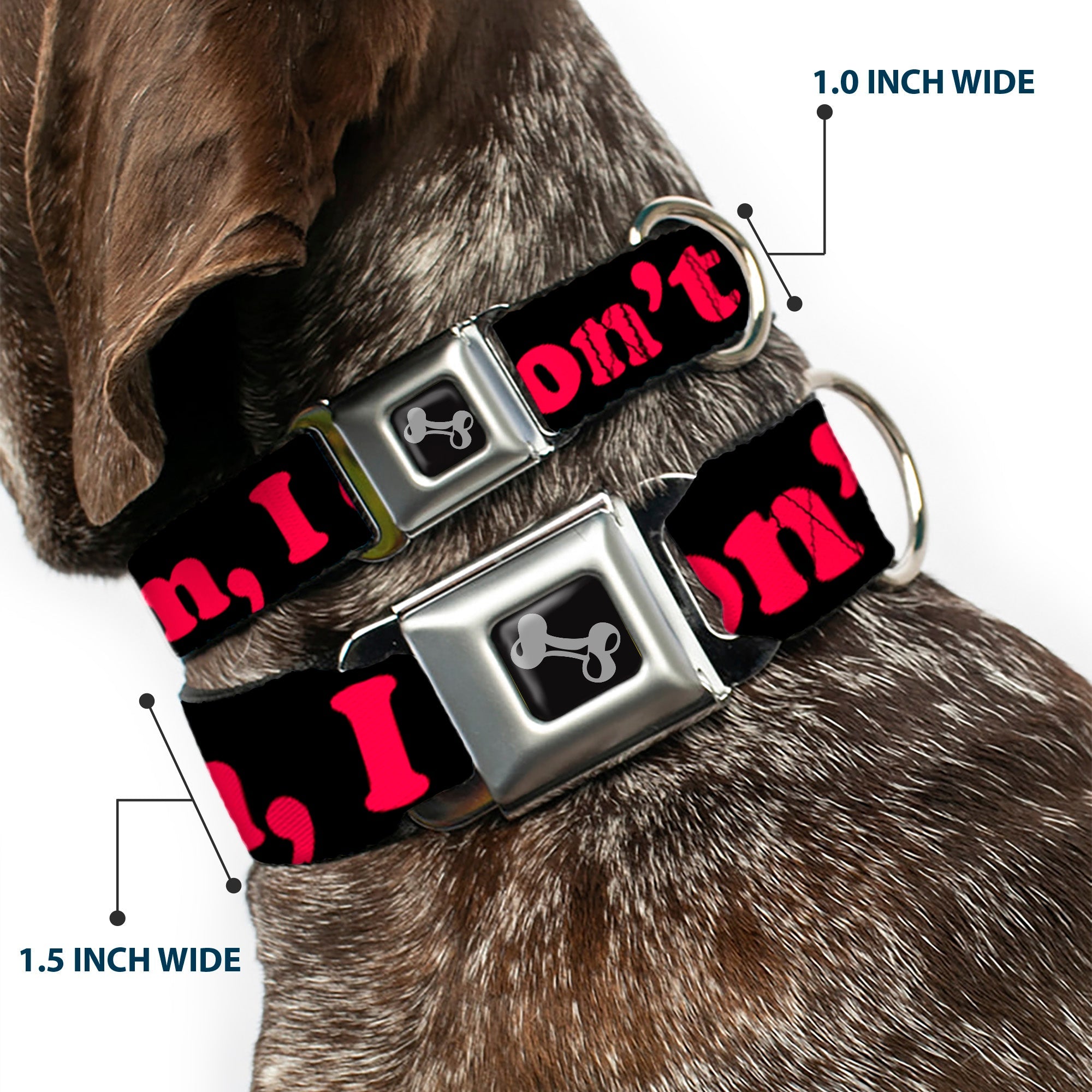 Dog Bone Seatbelt Buckle Collar - HMMM, I DON'T THINK SO! Black/Pink