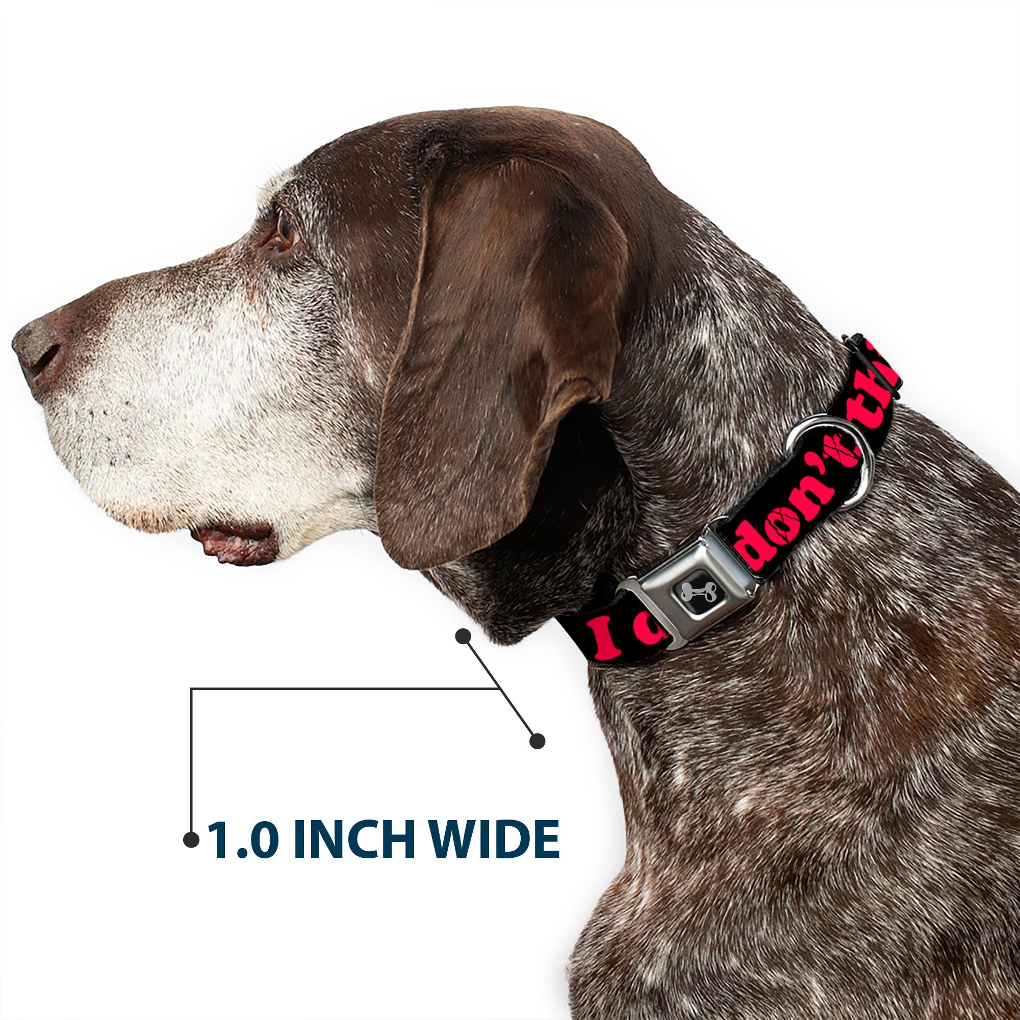 Dog Bone Seatbelt Buckle Collar - HMMM, I DON'T THINK SO! Black/Pink