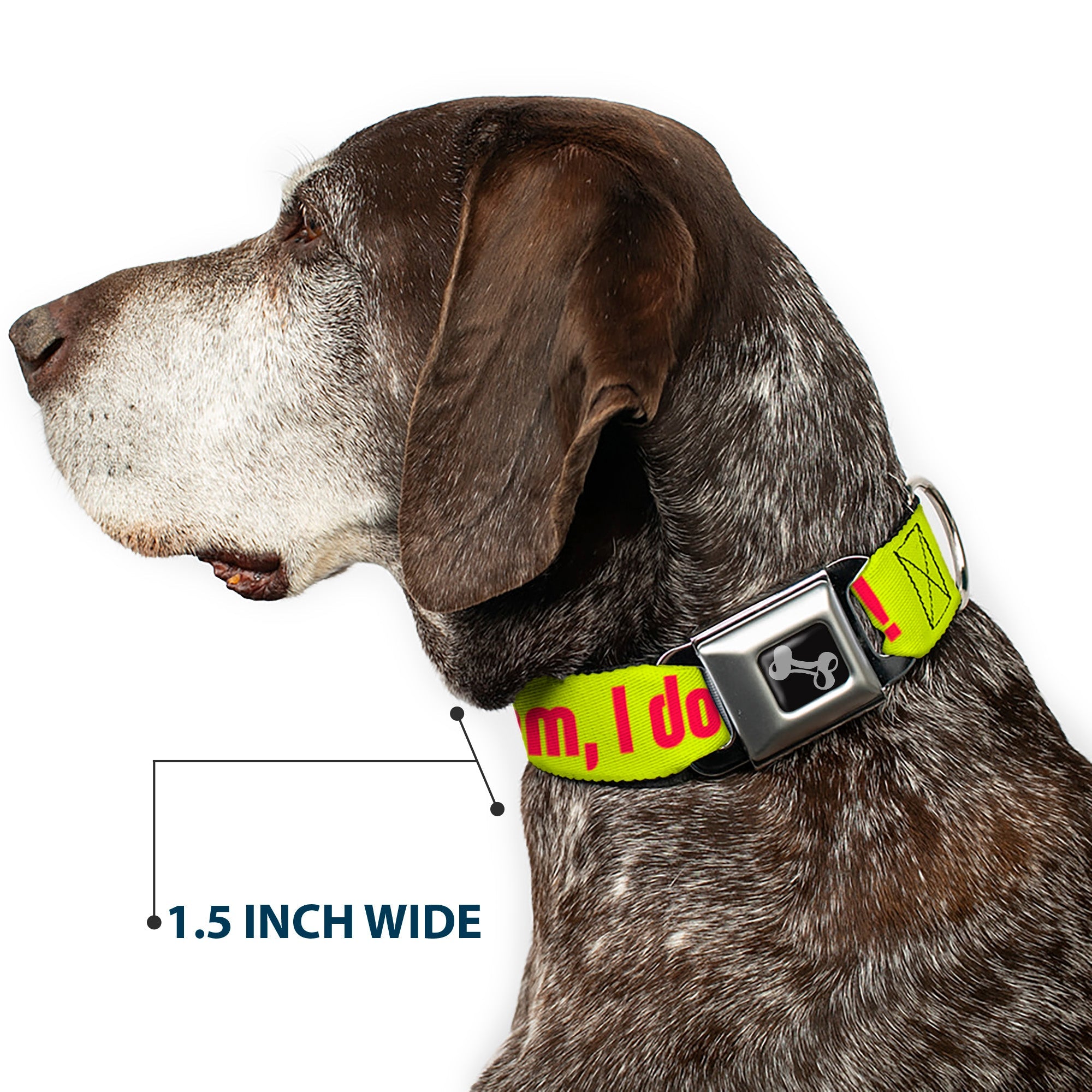 Dog Bone Seatbelt Buckle Collar - HMMM, I DON'T THINK SO! Yellow/Pink