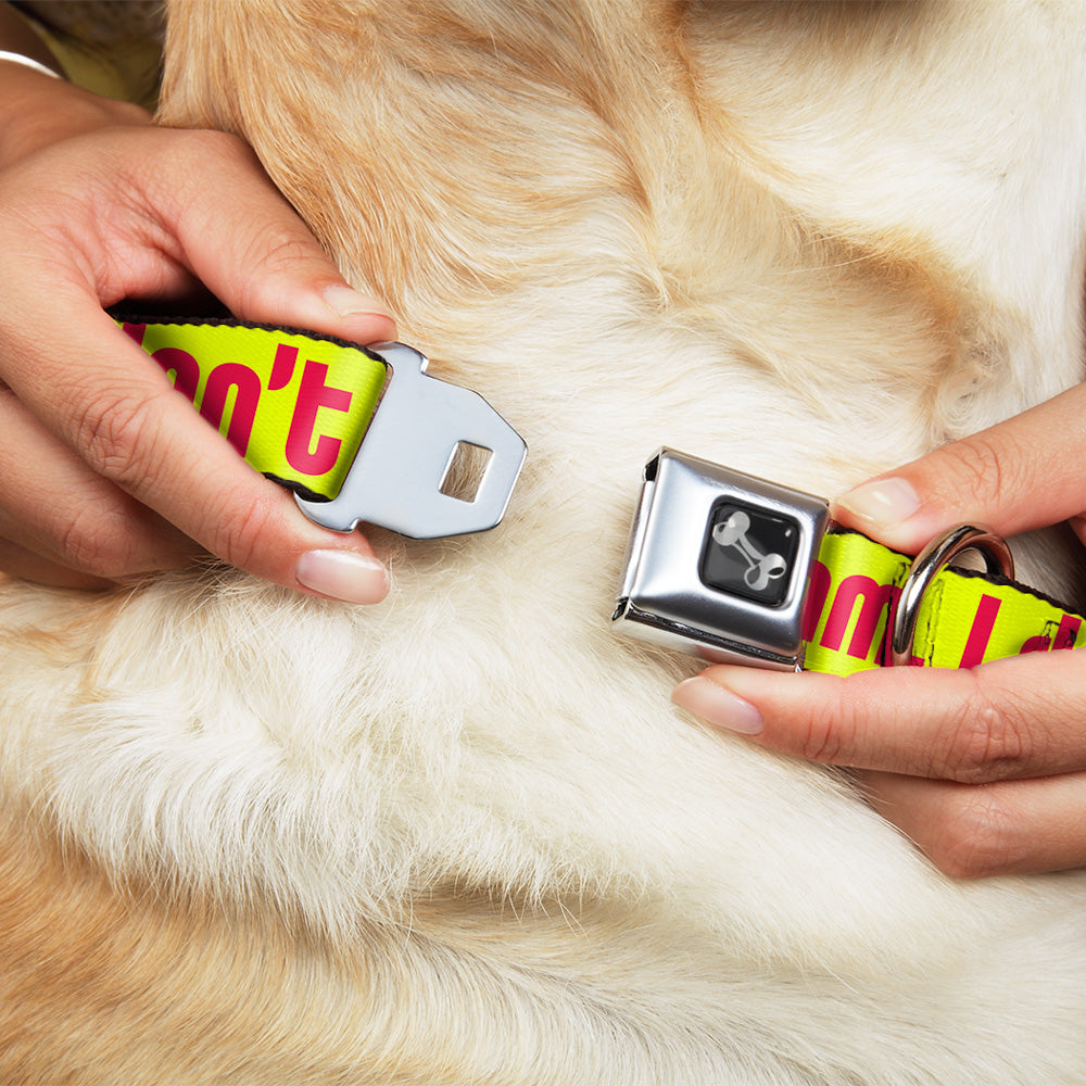 Dog Bone Seatbelt Buckle Collar - HMMM, I DON'T THINK SO! Yellow/Pink