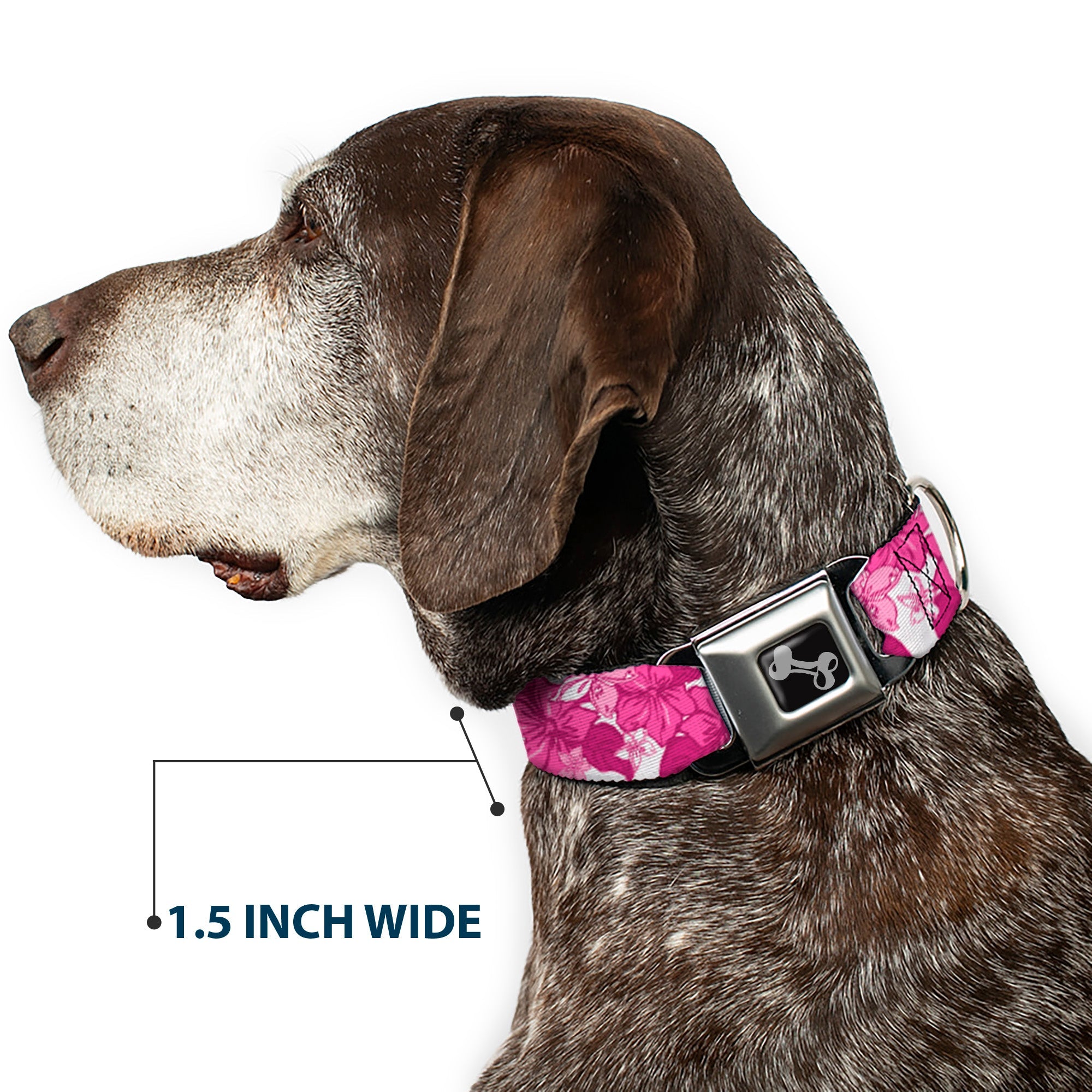 Dog Bone Seatbelt Buckle Collar - Hibiscus Collage White/Pinks