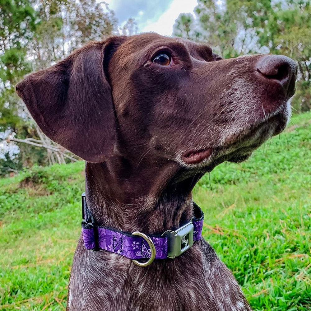Dog Bone Seatbelt Buckle Collar - Hibiscus Collage Purple Shades
