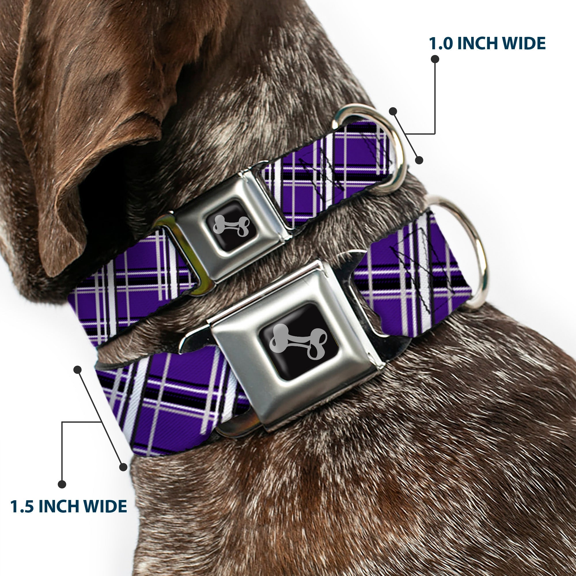 Dog Bone Seatbelt Buckle Collar - Houndstooth Gray/Purple/White