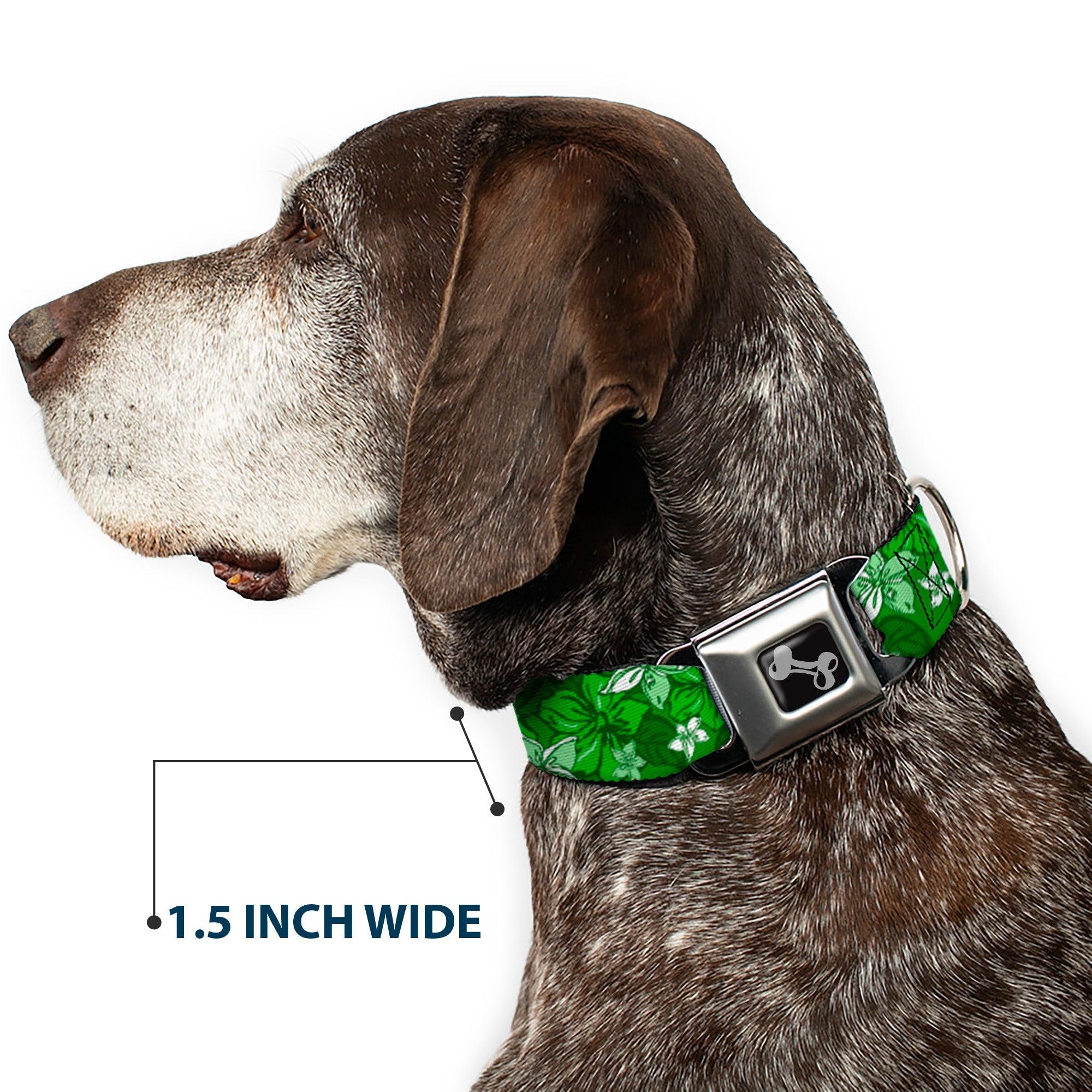 Dog Bone Seatbelt Buckle Collar - Hibiscus Collage Green Shades