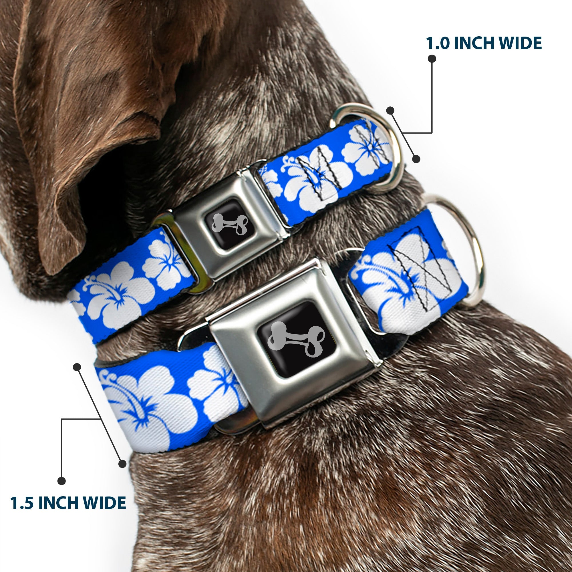Dog Bone Seatbelt Buckle Collar - Hibiscus Blue/White