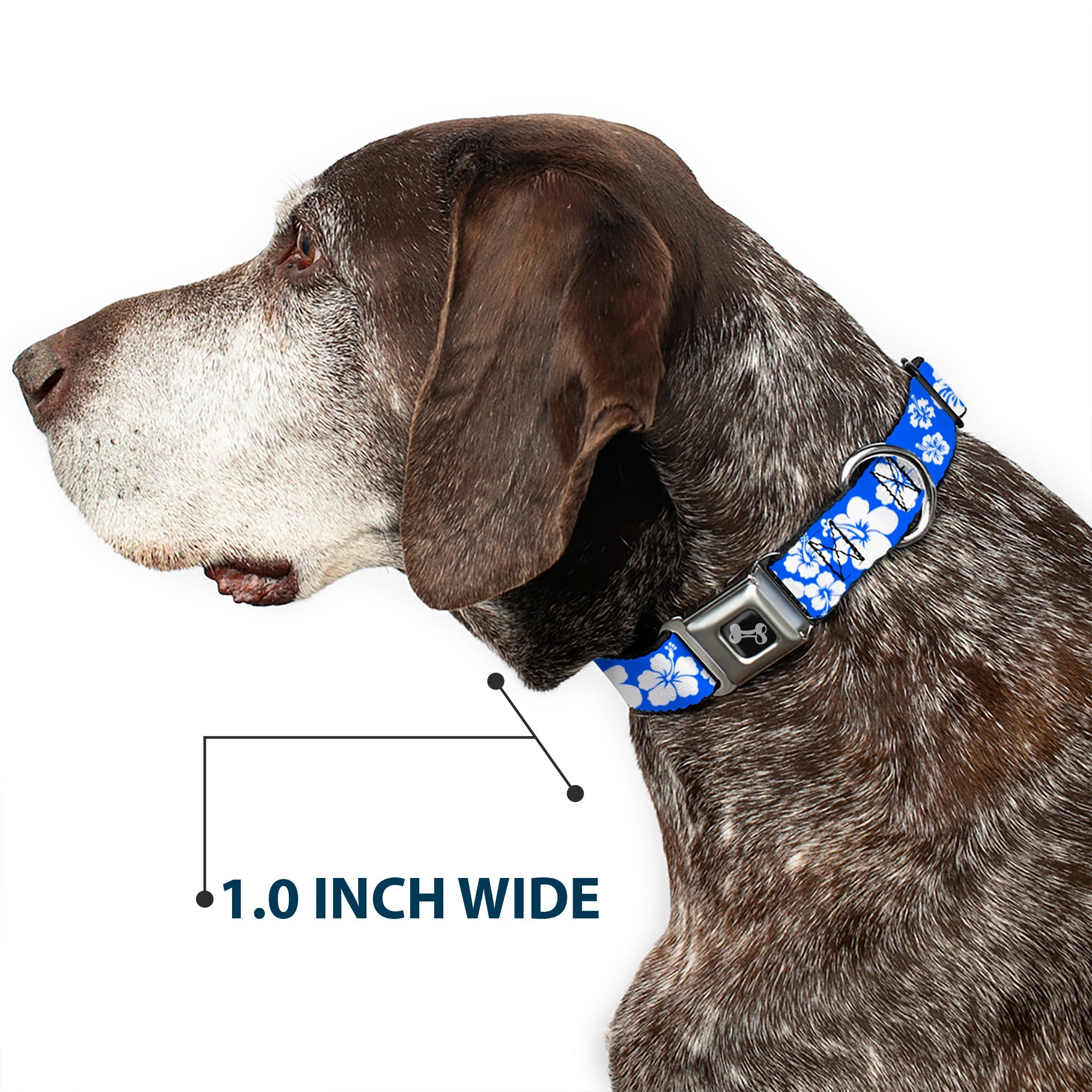 Dog Bone Seatbelt Buckle Collar - Hibiscus Blue/White