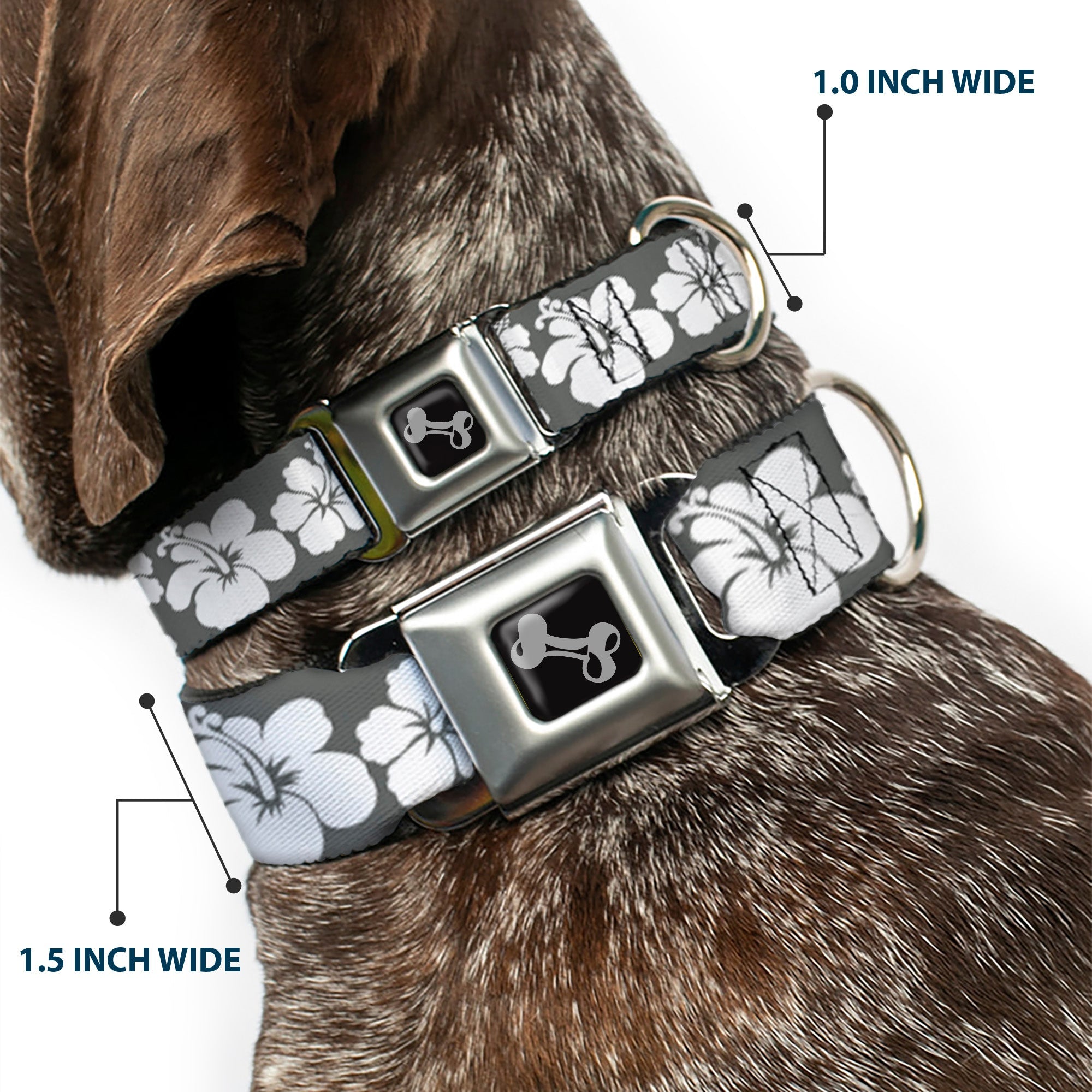 Dog Bone Seatbelt Buckle Collar - Hibiscus Gray/White