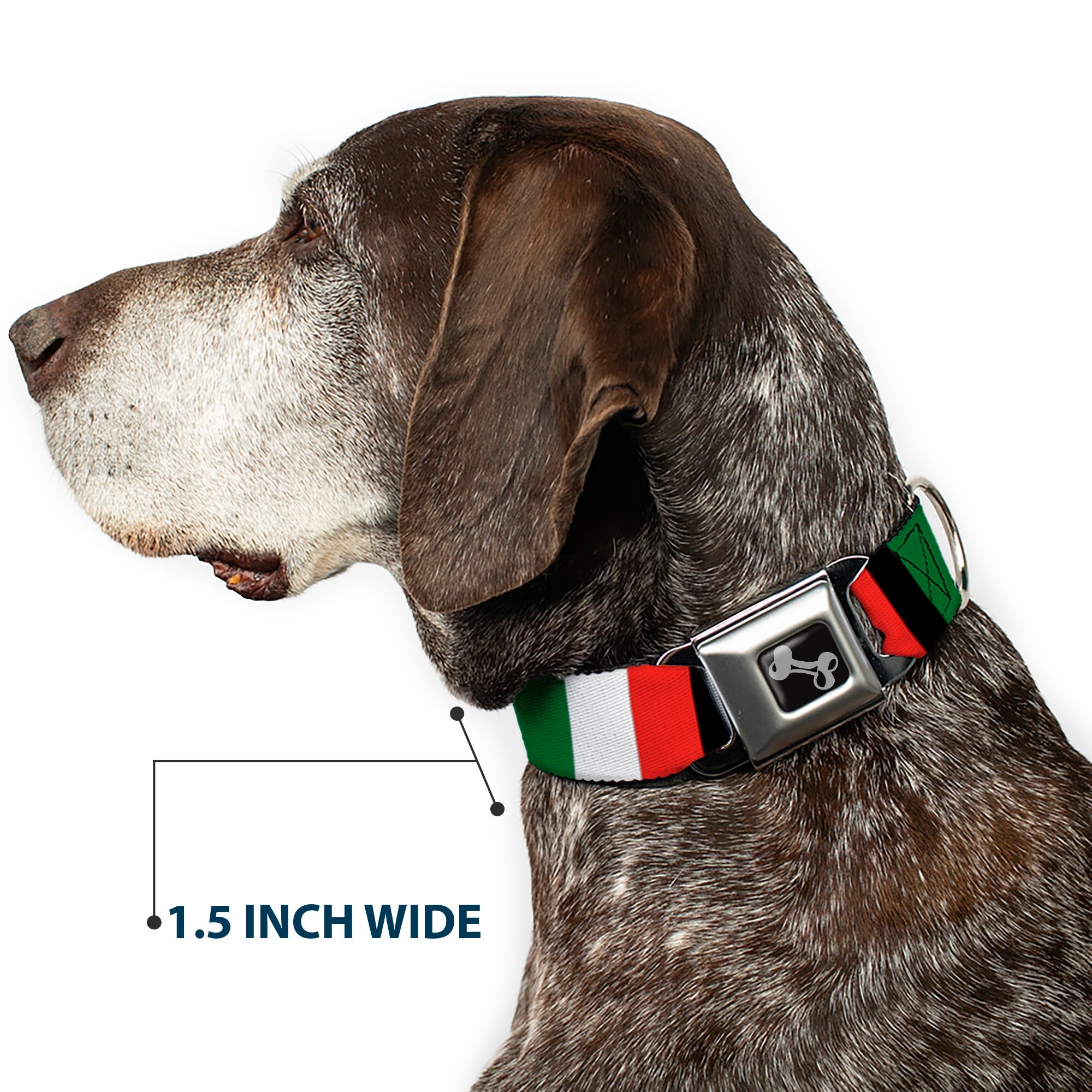 Dog Bone Seatbelt Buckle Collar - Italy Flags