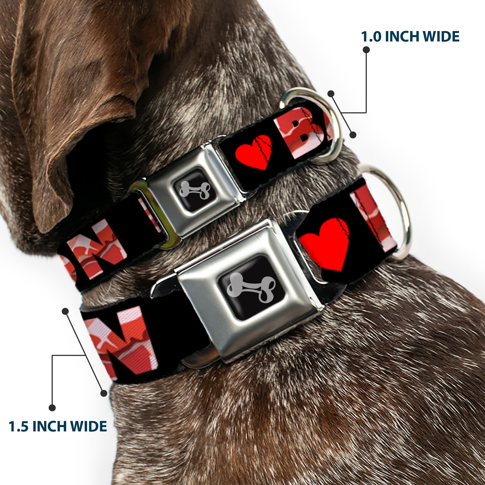 Dog Bone Seatbelt Buckle Collar - I "Heart" BACON Black/Bacon