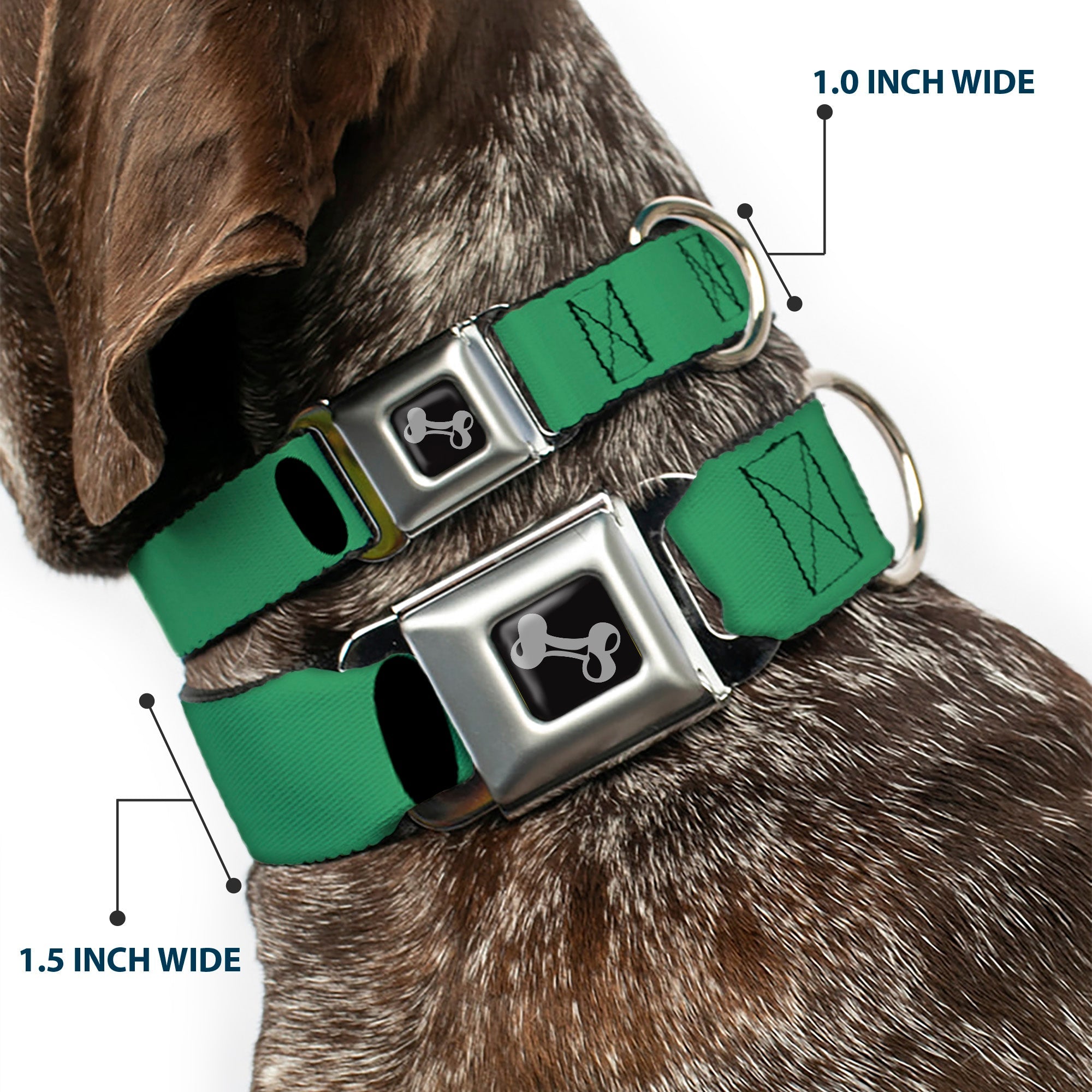 Dog Bone Seatbelt Buckle Collar - I "Heart" PANDAS Green/White/Black/Pink