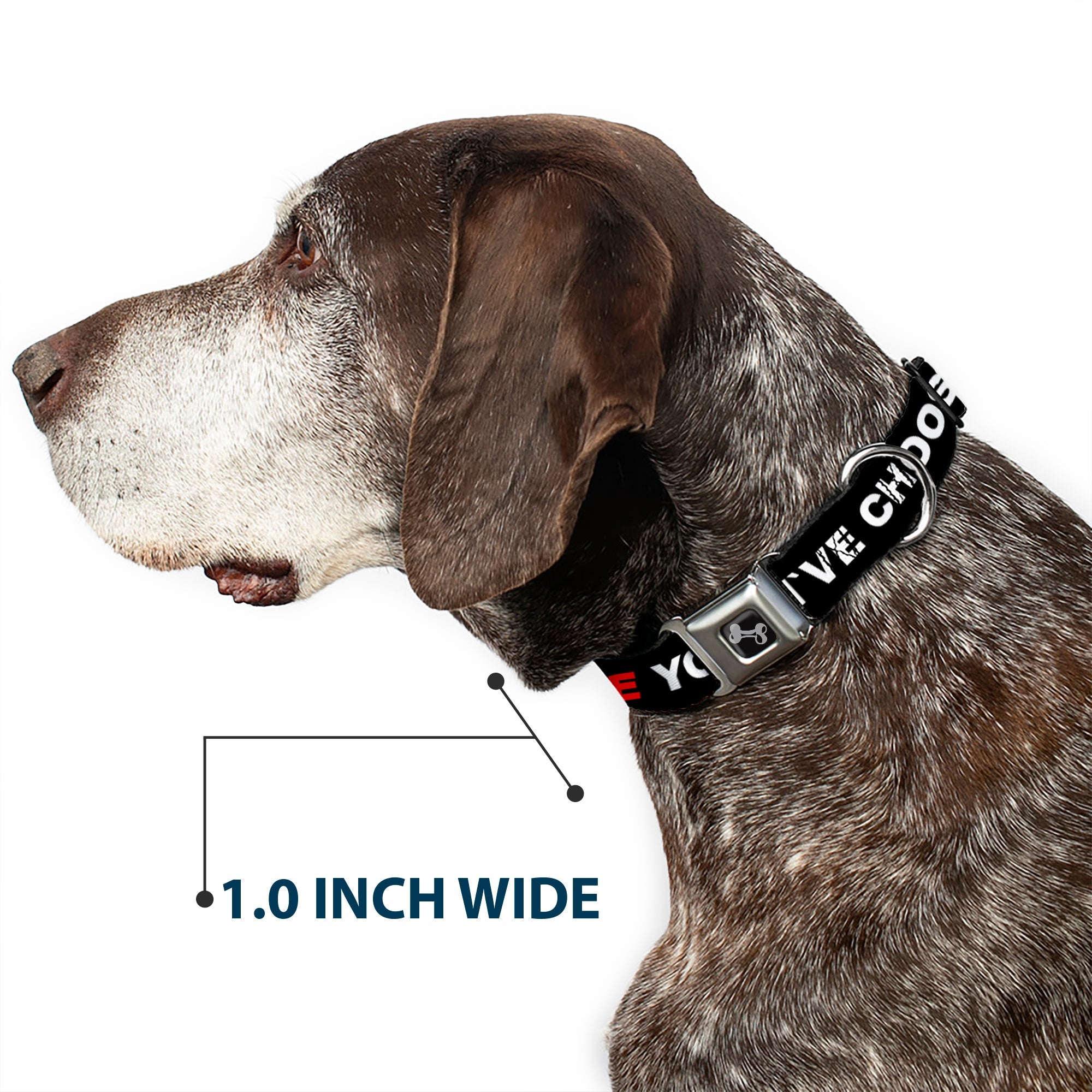 Dog Bone Black/Silver Seatbelt Buckle Collar - I LOVE YOU BUT I'VE CHOSEN DUBSTEP Black/White/Red