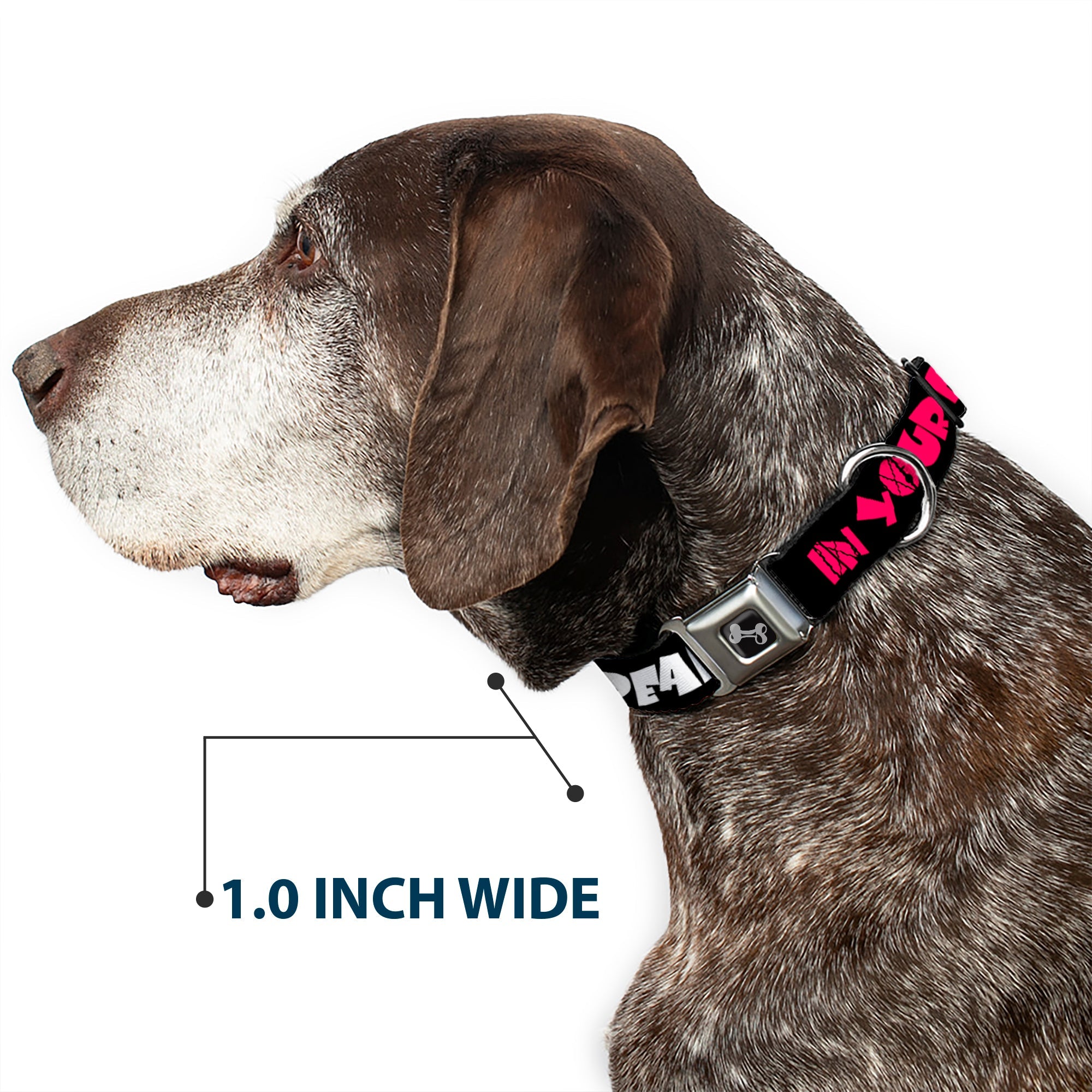 Dog Bone Seatbelt Buckle Collar - IN YOUR DREAMS! Black/White/Pink