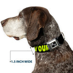 Dog Bone Black/Silver Seatbelt Buckle Collar - IN YOUR DREAMS! Black/Pink/Green/Yellow