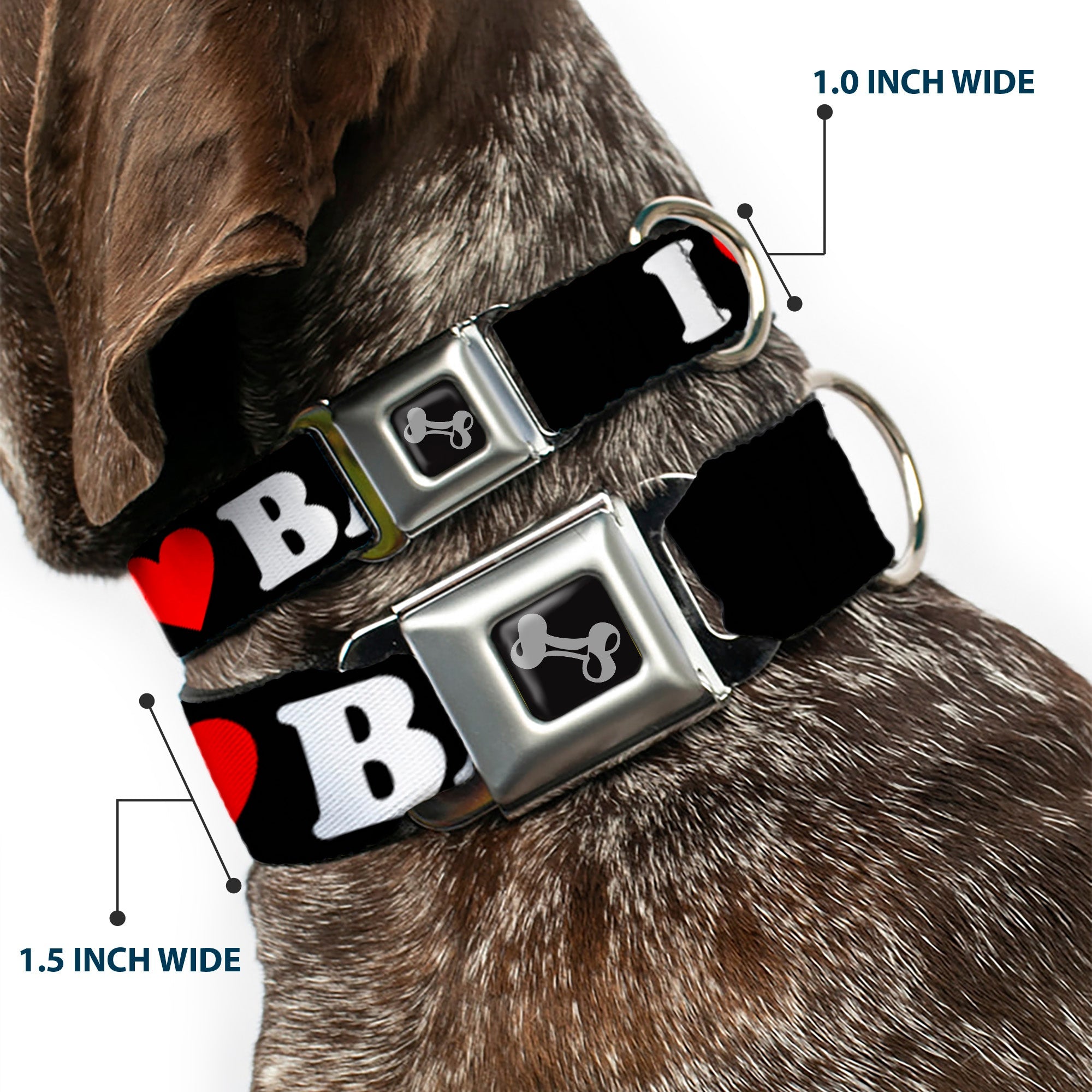 Dog Bone Seatbelt Buckle Collar - I "HEART" BACON Black/White/Red