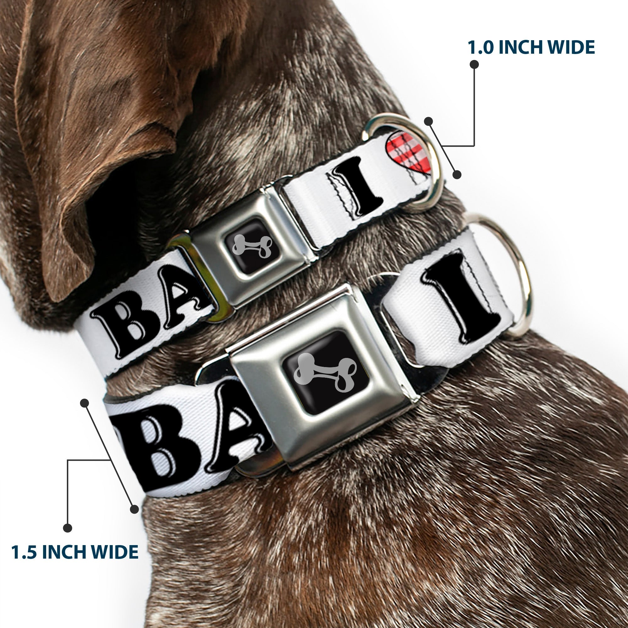 Dog Bone Seatbelt Buckle Collar - I "Heart" BACON White/Black/Bacon