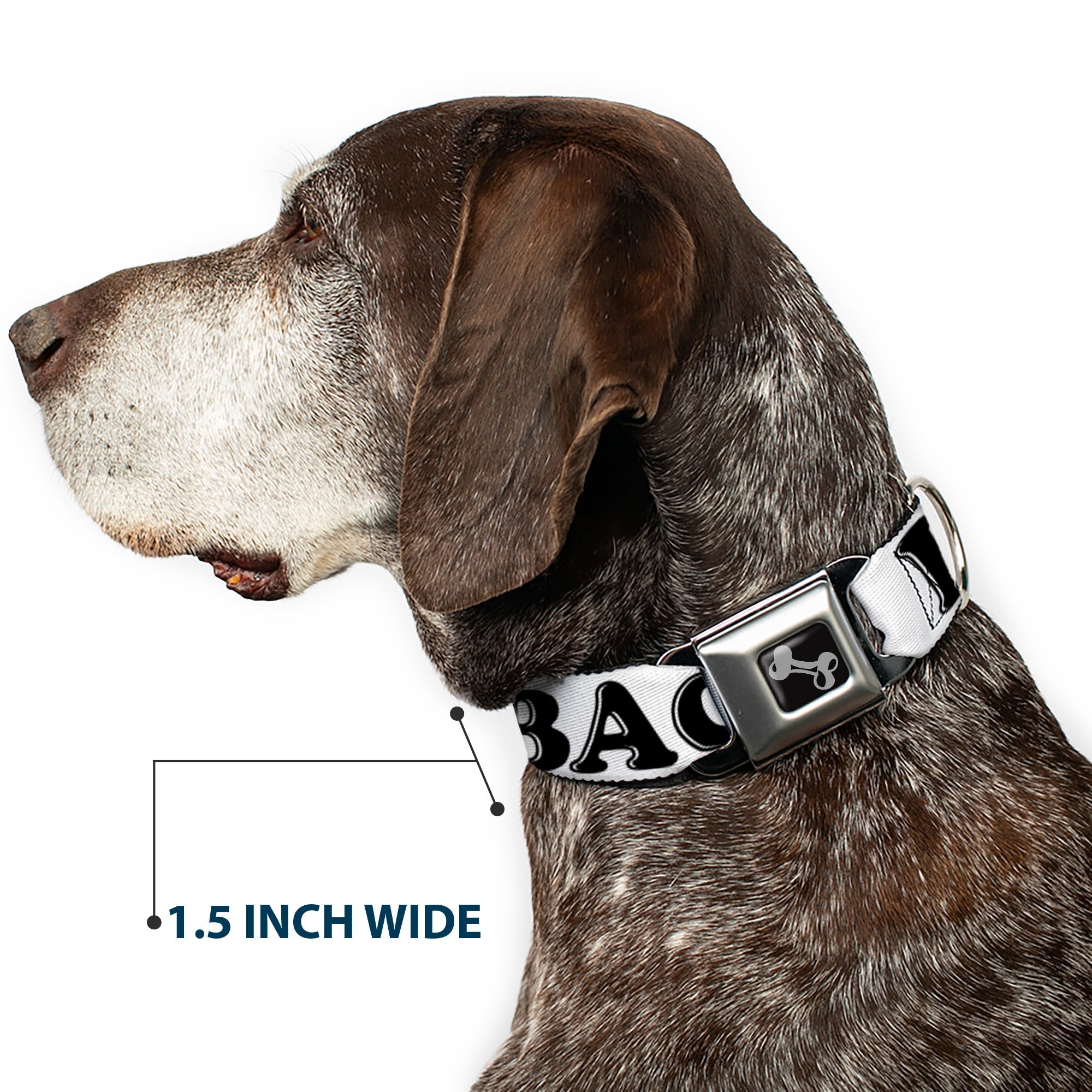 Dog Bone Seatbelt Buckle Collar - I "Heart" BACON White/Black/Bacon