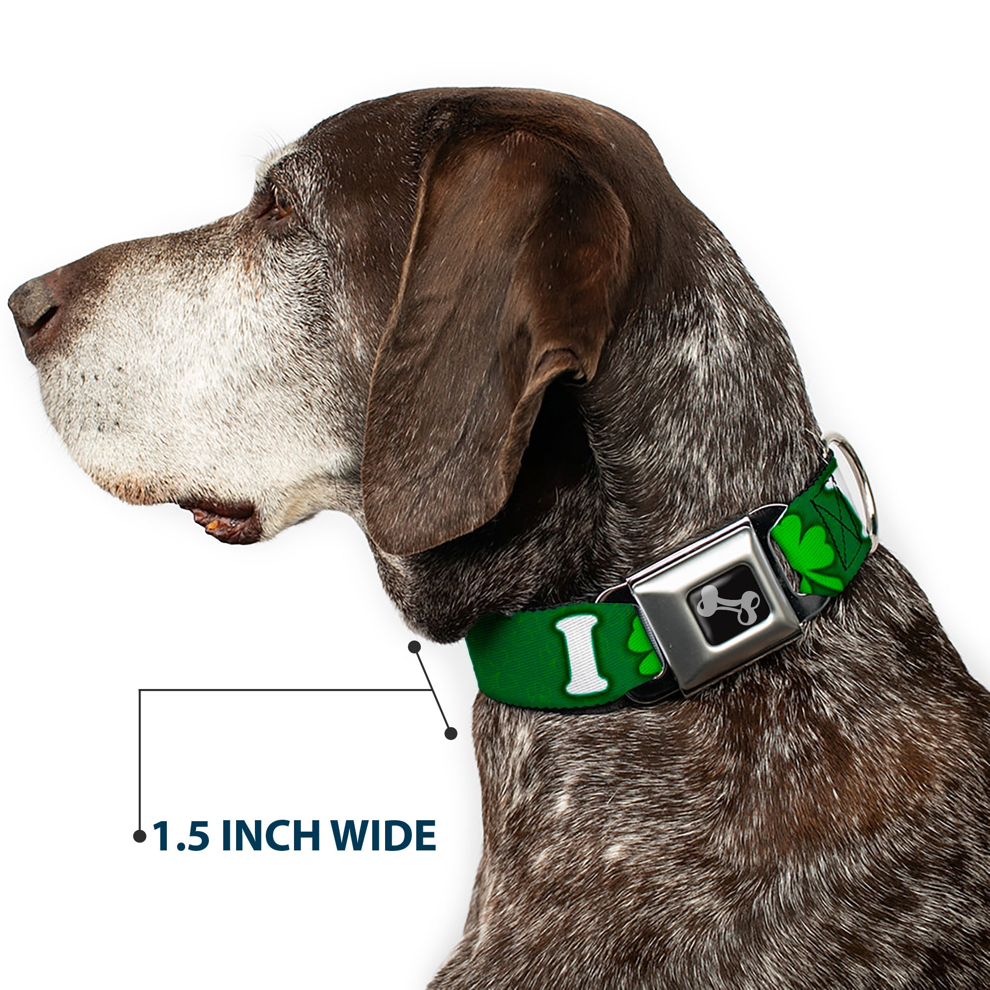 Buckle-Down Seatbelt Buckle Dog Collar - I "Clover" BEER/Clover Outlines Greens/White