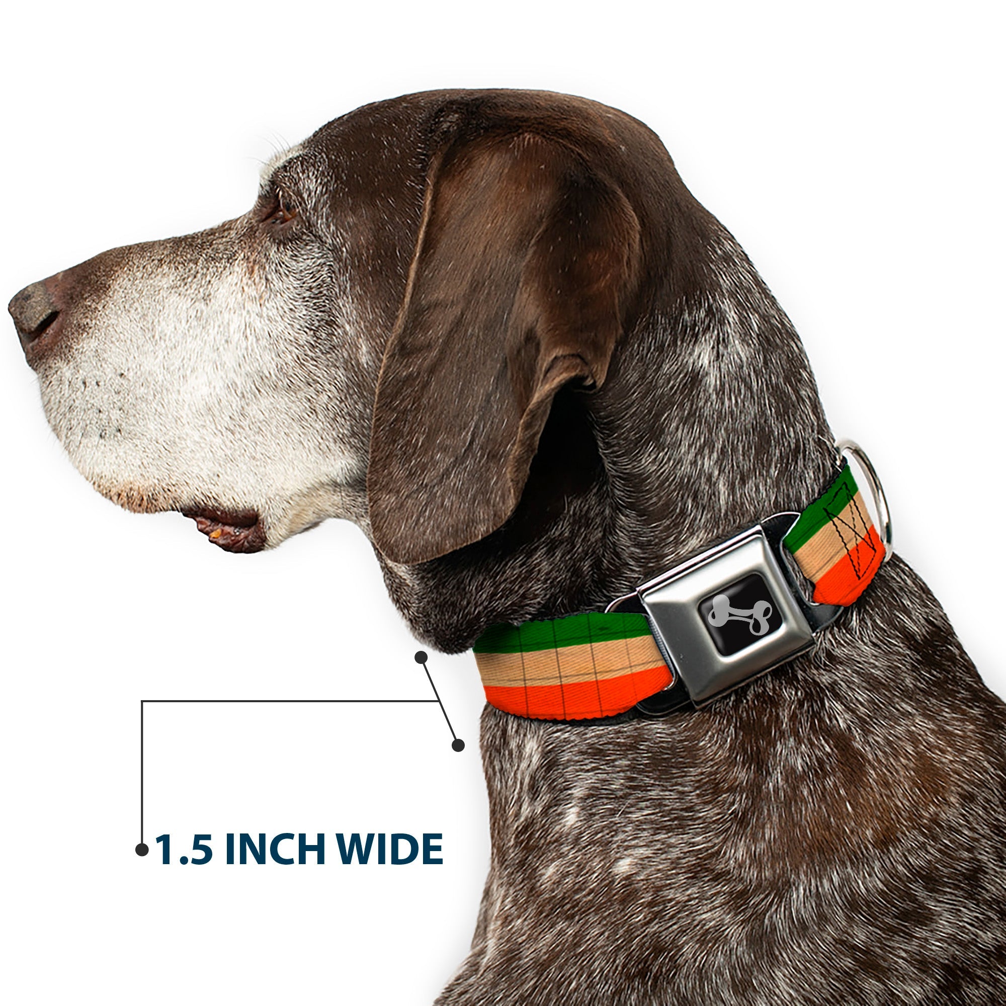 Dog Bone Seatbelt Buckle Collar - Ireland Flag Stripes Distressed