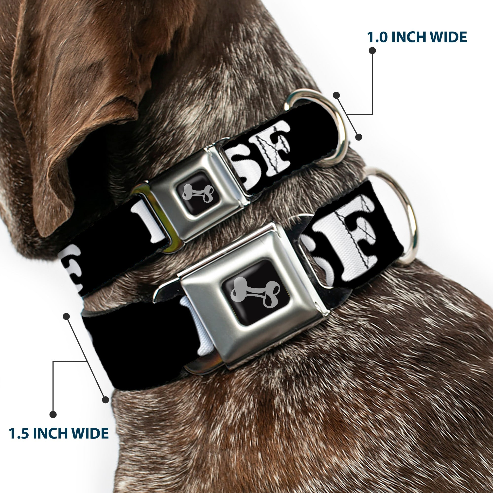 Dog Bone Seatbelt Buckle Collar - I "HEART BRIDGE" SF Black/White/Rainbow