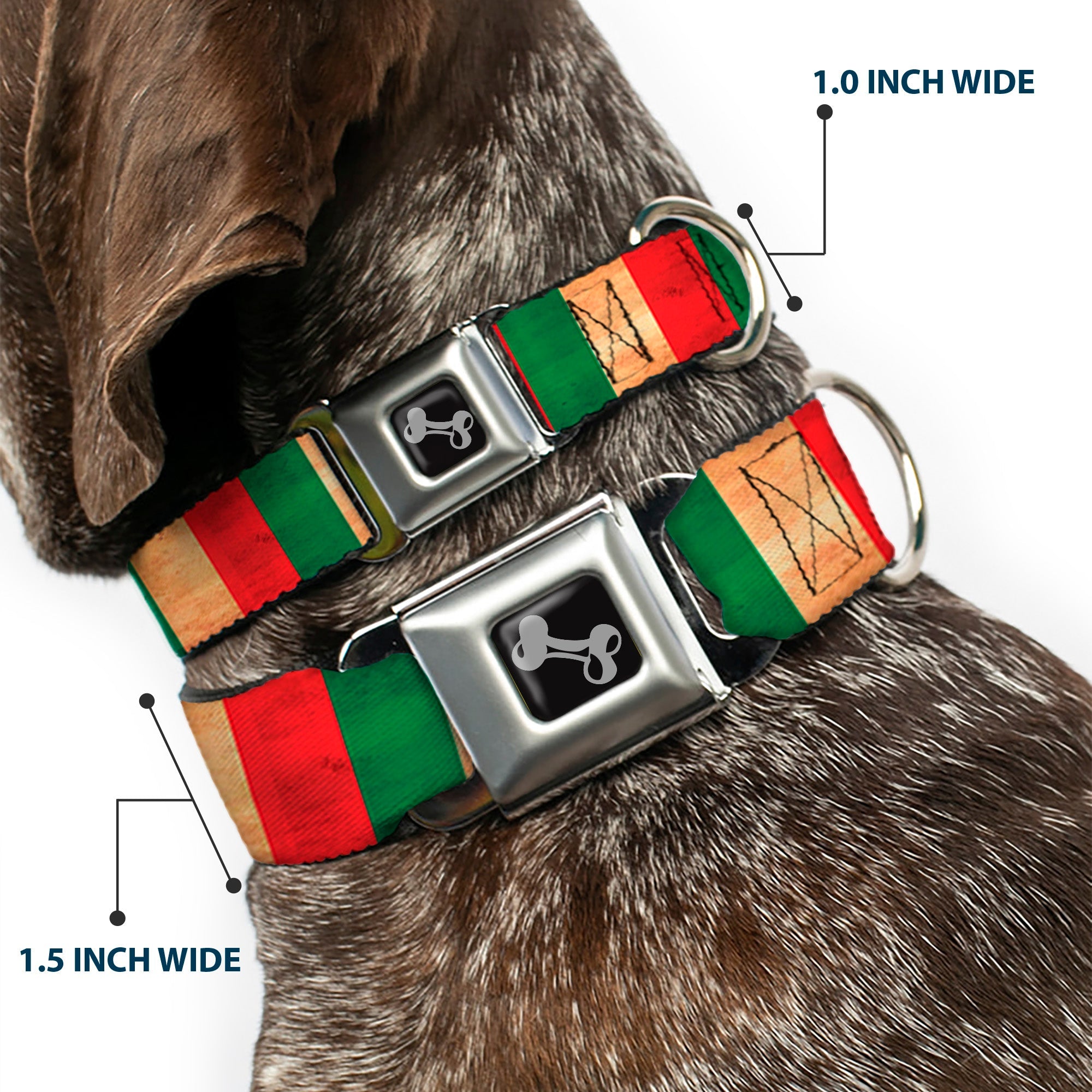 Dog Bone Black/Silver Seatbelt Buckle Collar - Italy Flag Continuous Vintage