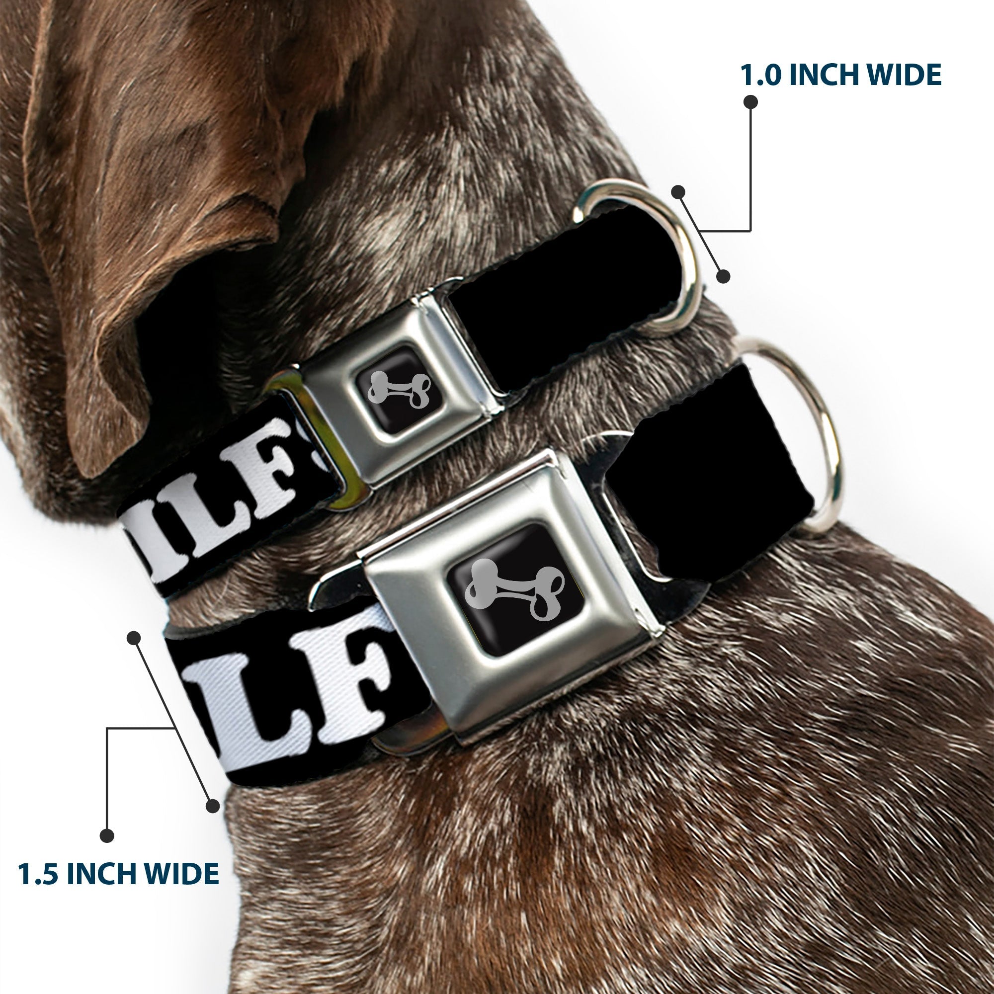 Dog Bone Black/Silver Seatbelt Buckle Collar - I "HEART" DILFS Black/White/Red