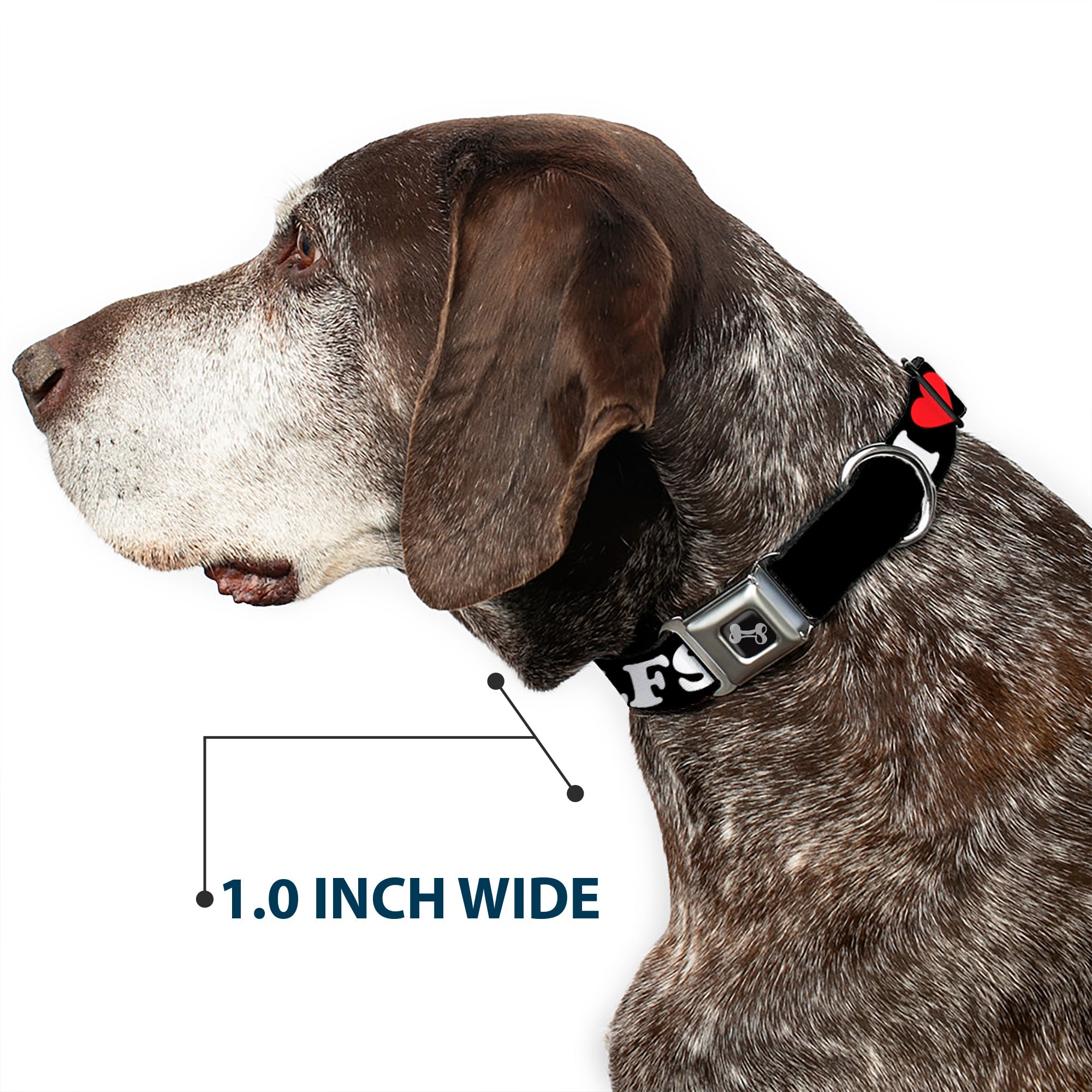 Dog Bone Black/Silver Seatbelt Buckle Collar - I "HEART" DILFS Black/White/Red
