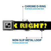 Dog Bone Seatbelt Buckle Collar - J/K RIGHT? Black/Yellow
