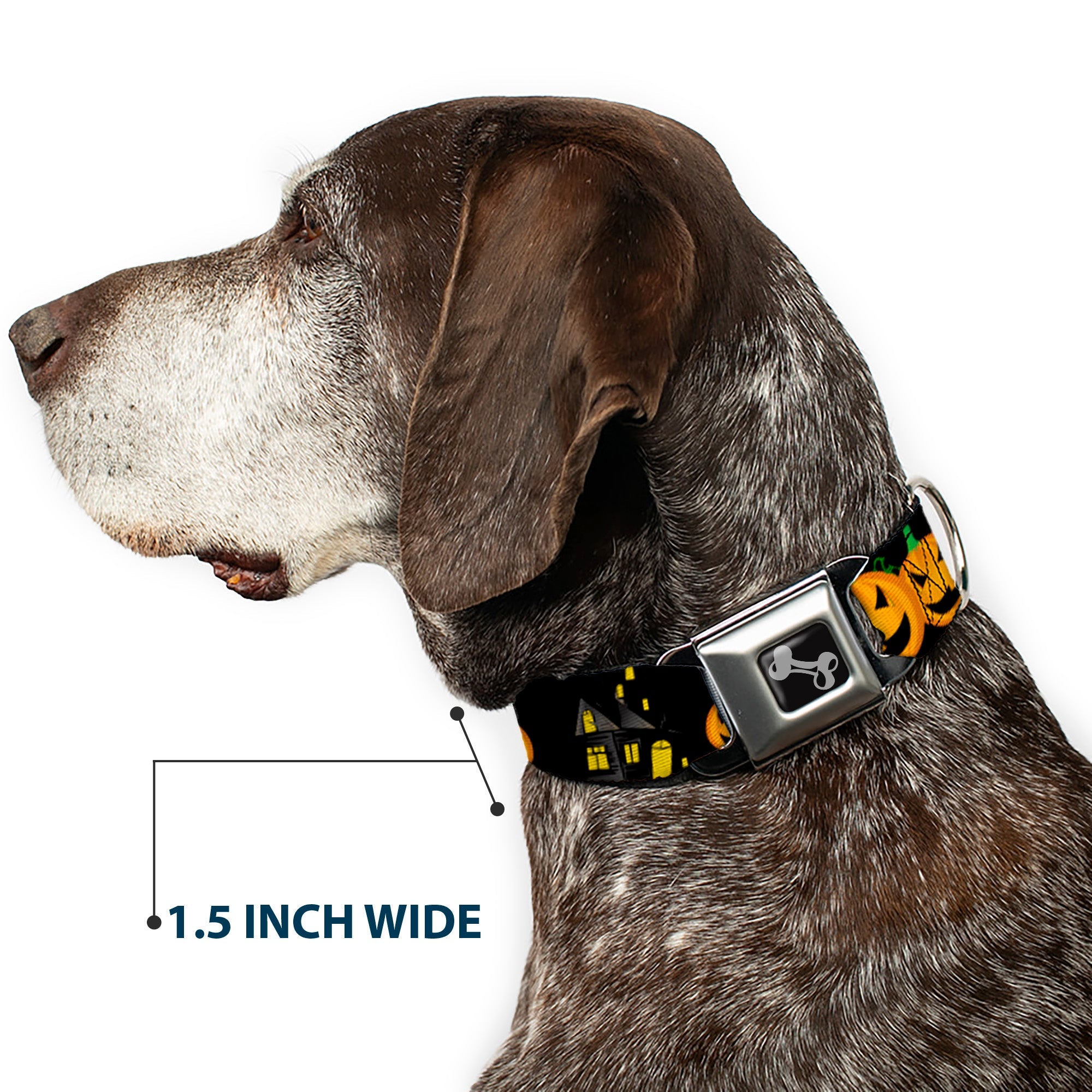 Dog Bone Seatbelt Buckle Collar - Jack-o'-Lanterns/Haunted House Black/Yellow