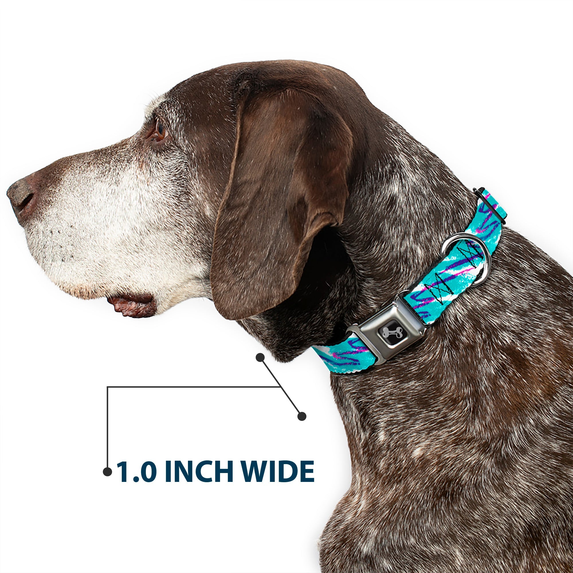 Dog Bone Black/Silver Seatbelt Buckle Collar - Jazzy Wave Scribble White/Teal/Purple