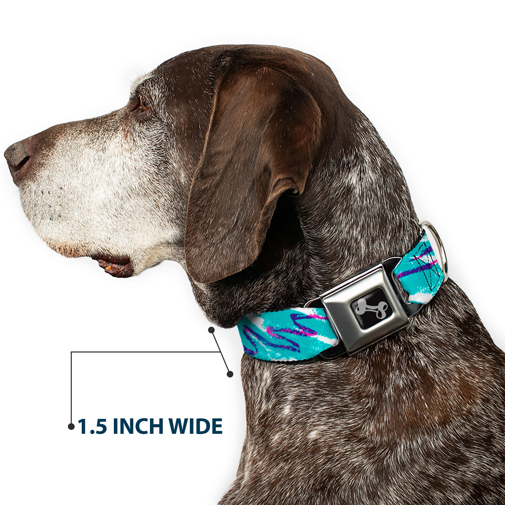 Dog Bone Black/Silver Seatbelt Buckle Collar - Jazzy Wave Scribble White/Teal/Purple